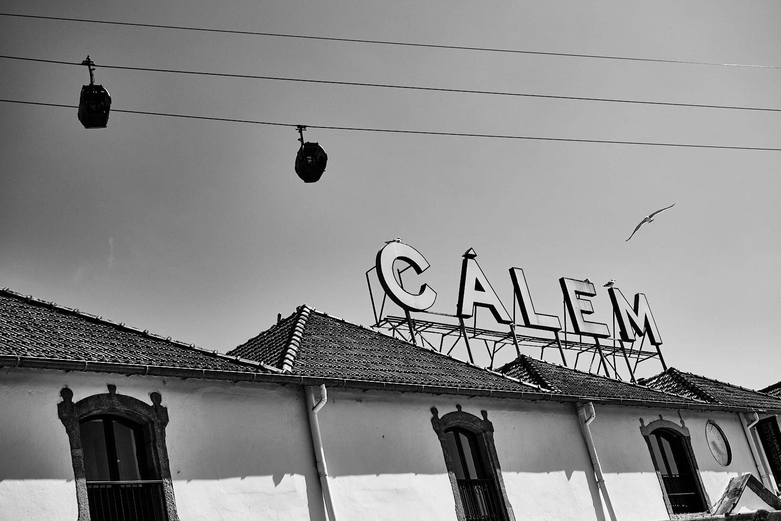 19__PORTO_STREETPHOTOGRAPHY 88.jpg