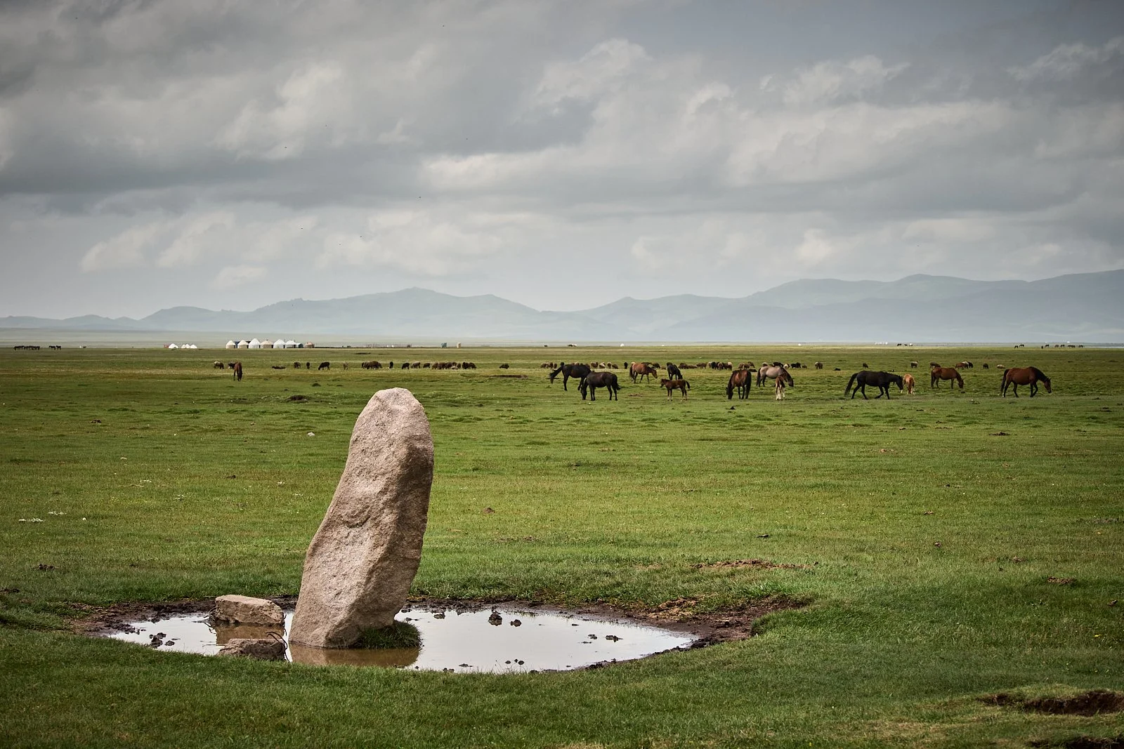 2026.KIRGHIZSTAN_LAC SONG KUL_©CyrilPerregaux.255.jpg
