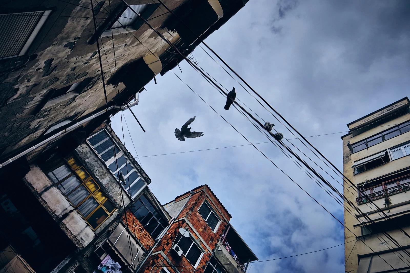 TIRANA_AMBIANCES_SITE INTERNET_SQUARESPACE_31.jpg