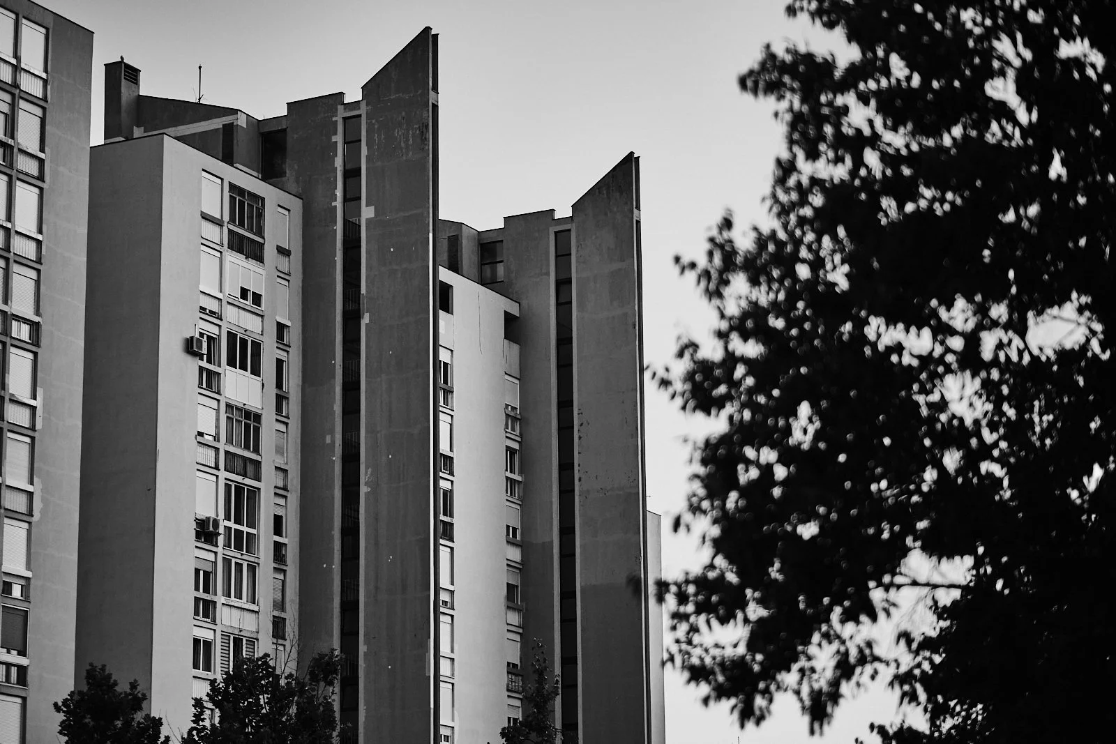2024_SPLIT-3_©cyrilperregaux.073.3W.175.jpg