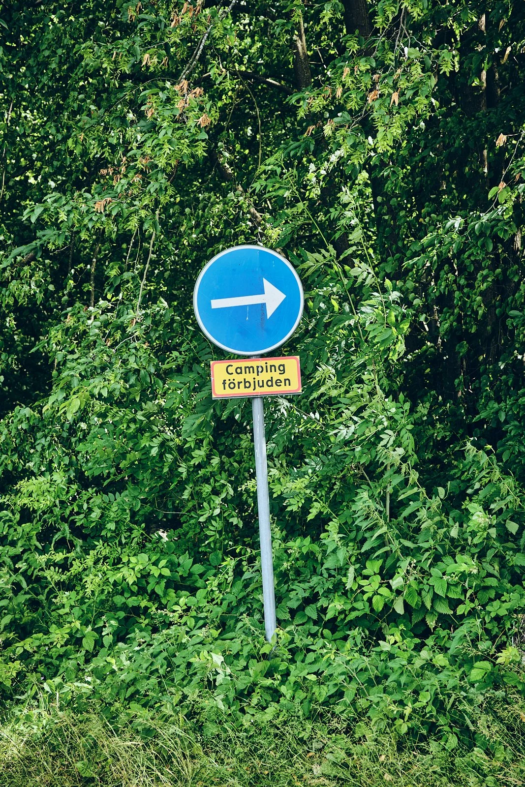 3W.SWEDEN AMBIANCES.12.jpg
