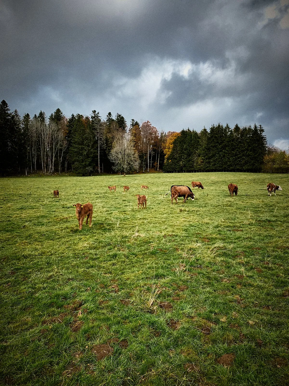 P_jura__b0179__2021_-RIDE ACROSS JURA.042.jpg