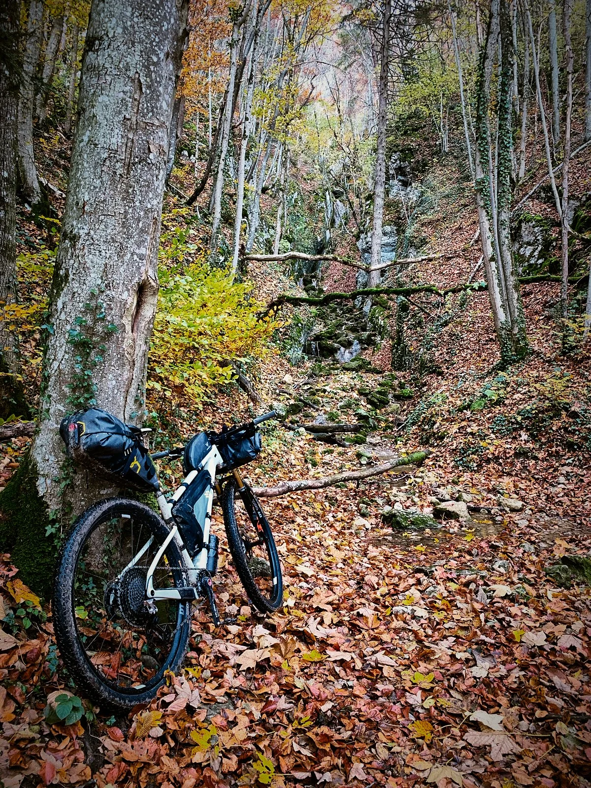 P_jura__b0204__2021_-RIDE ACROSS JURA.067.jpg