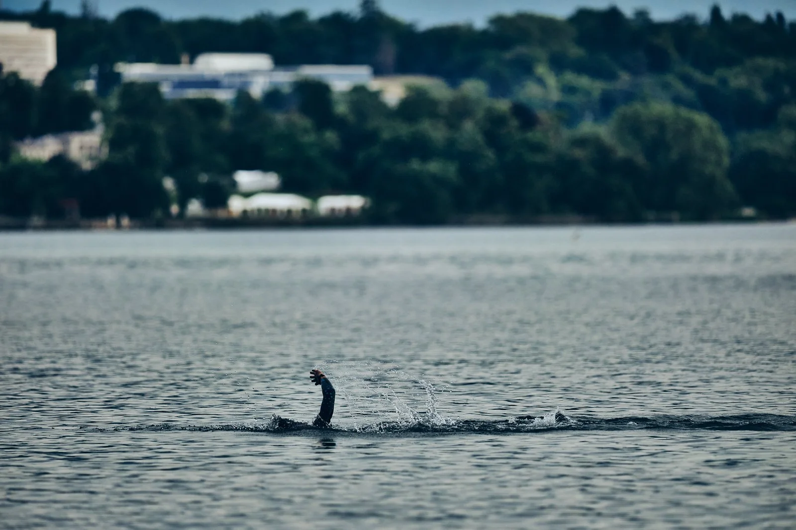 TRIATHLON GENEVE 2024_©CyrilPerregaux.043.jpg