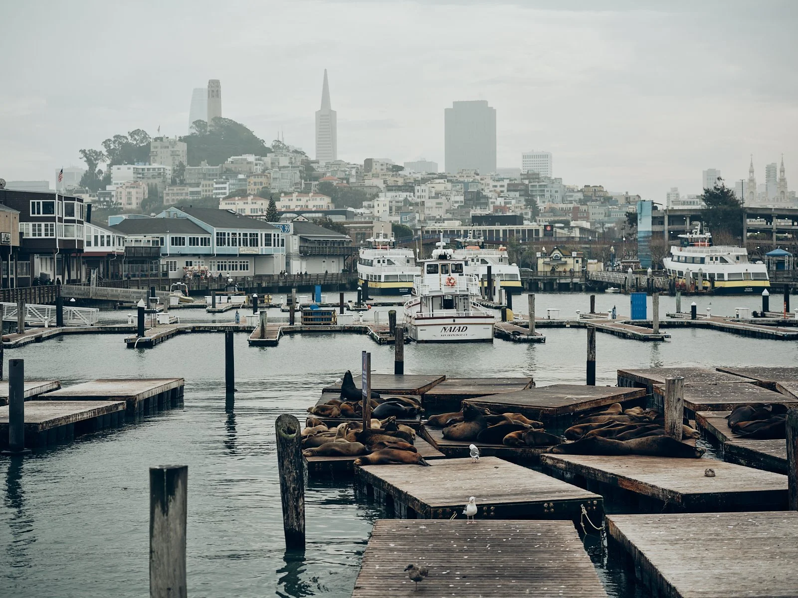 2024.Boat.Alcatraz_SF_©CyrilPerregaux.115.jpg