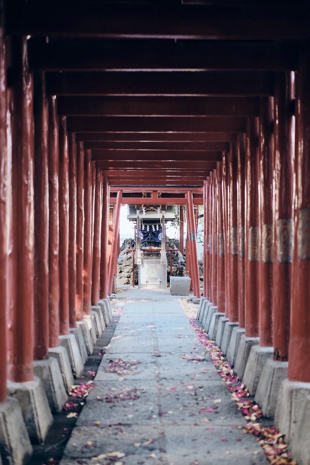 JAPAN_AMBIANCES_SITE INTERNET_SQUARESPACE_27.jpg