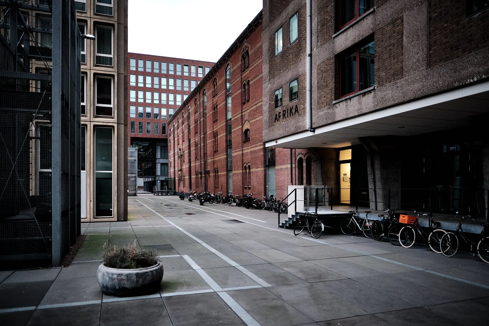 AMSTERDAM STREETPHOTOGRAPHY 101 202.jpg