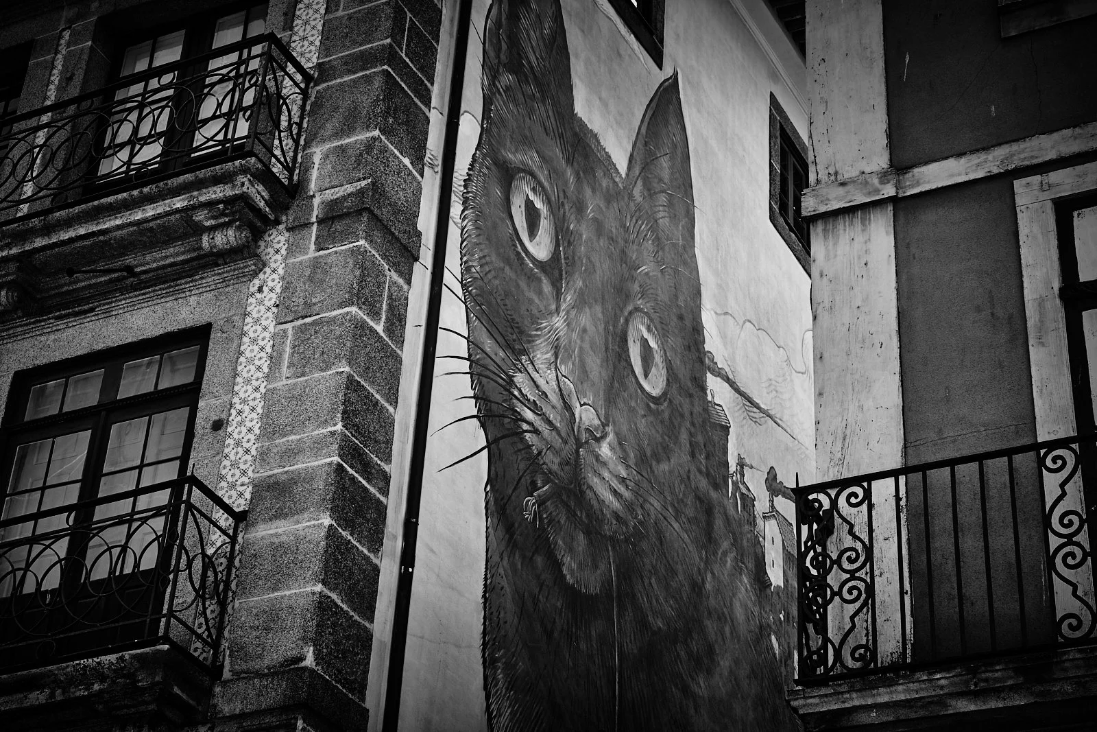 19__PORTO_STREETPHOTOGRAPHY 20.jpg