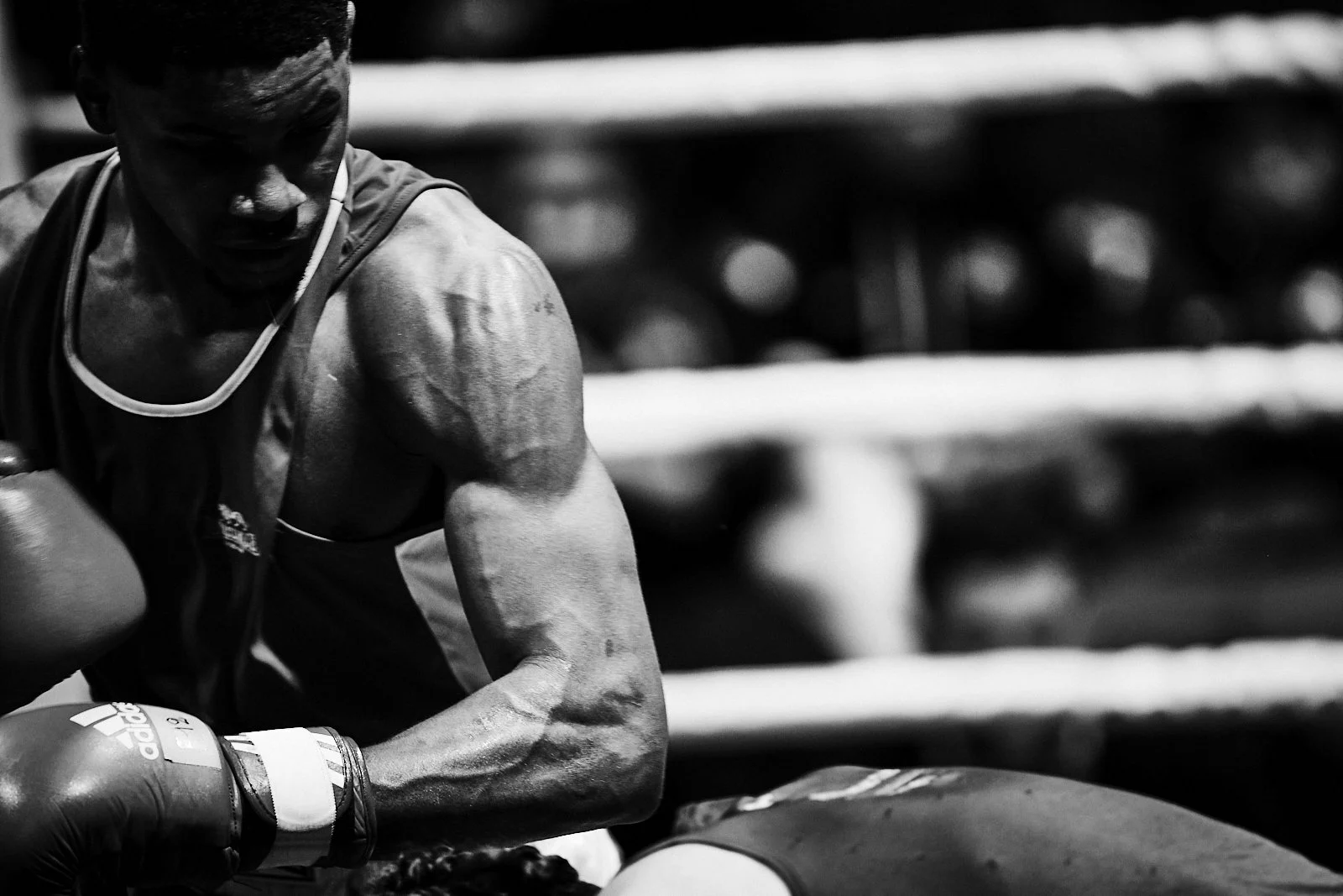 2023.02.03_NoblemPromotion_Fête de la Boxe Carouge_©cyrilperregaux.142.jpg