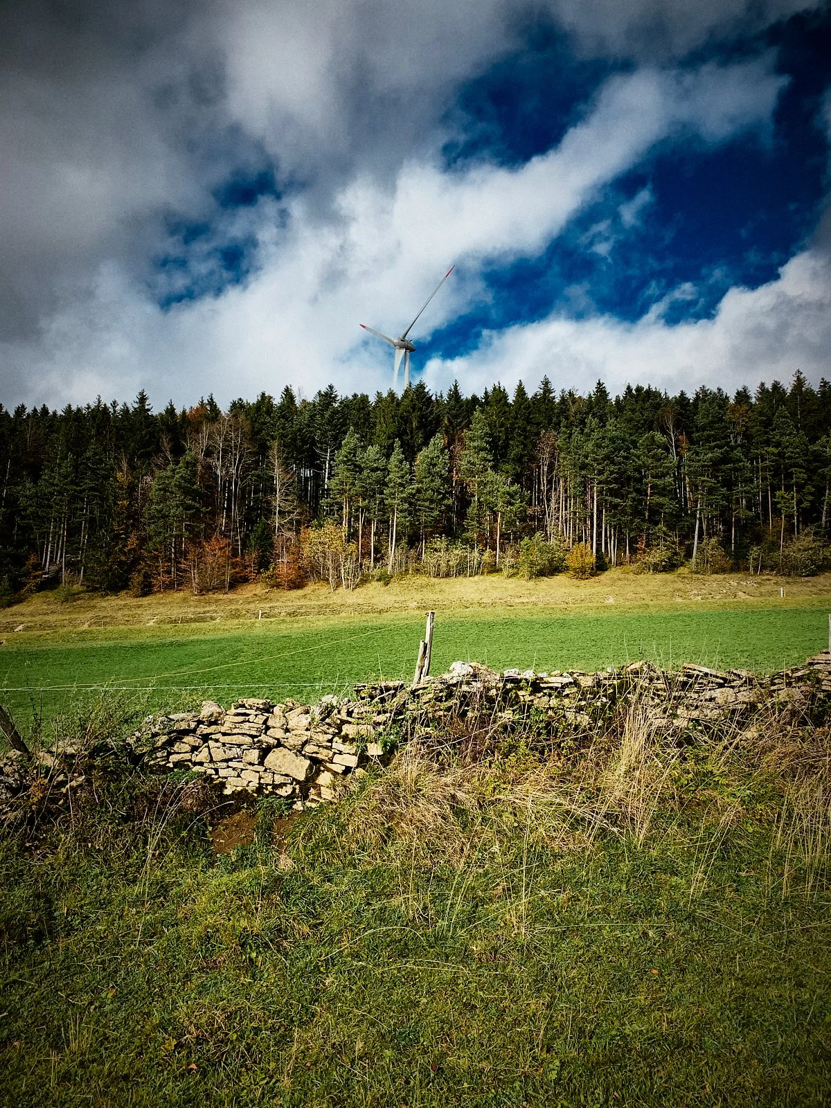 P_jura__b0185__2021_-RIDE ACROSS JURA.048.jpg