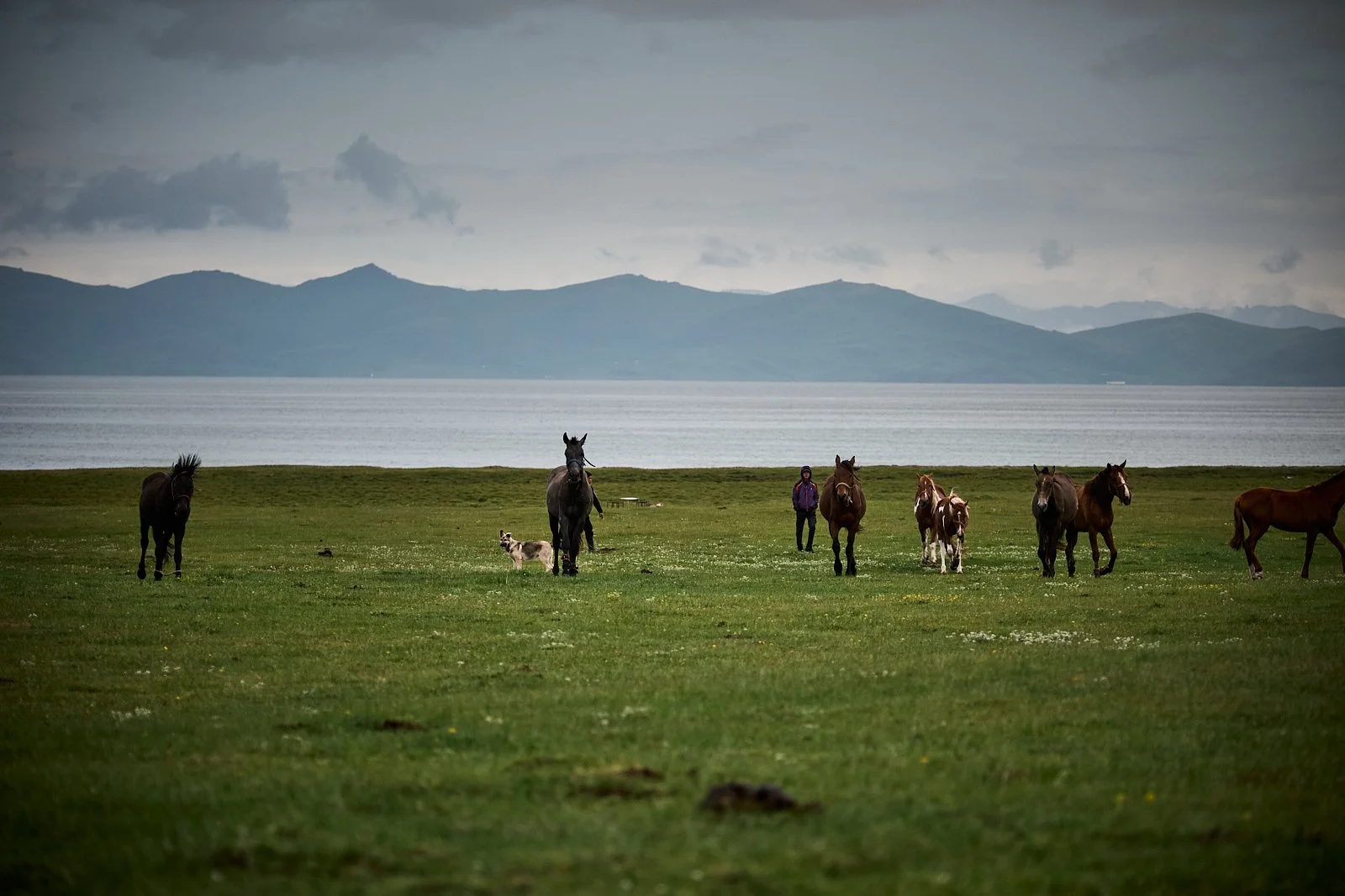 2026.KIRGHIZSTAN_LAC SONG KUL_©CyrilPerregaux.158.jpg