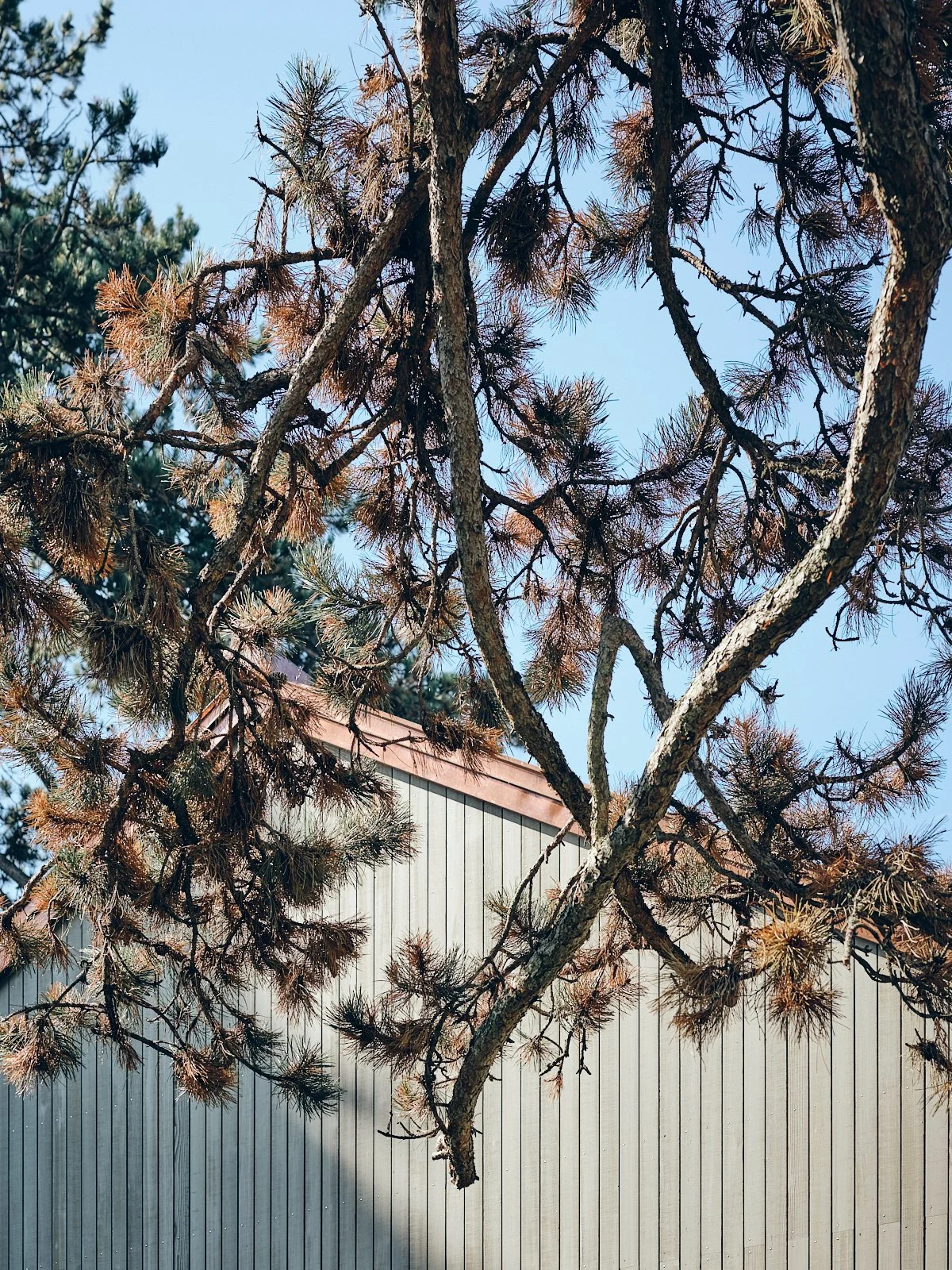 3W.BBA Architectes.11.jpg