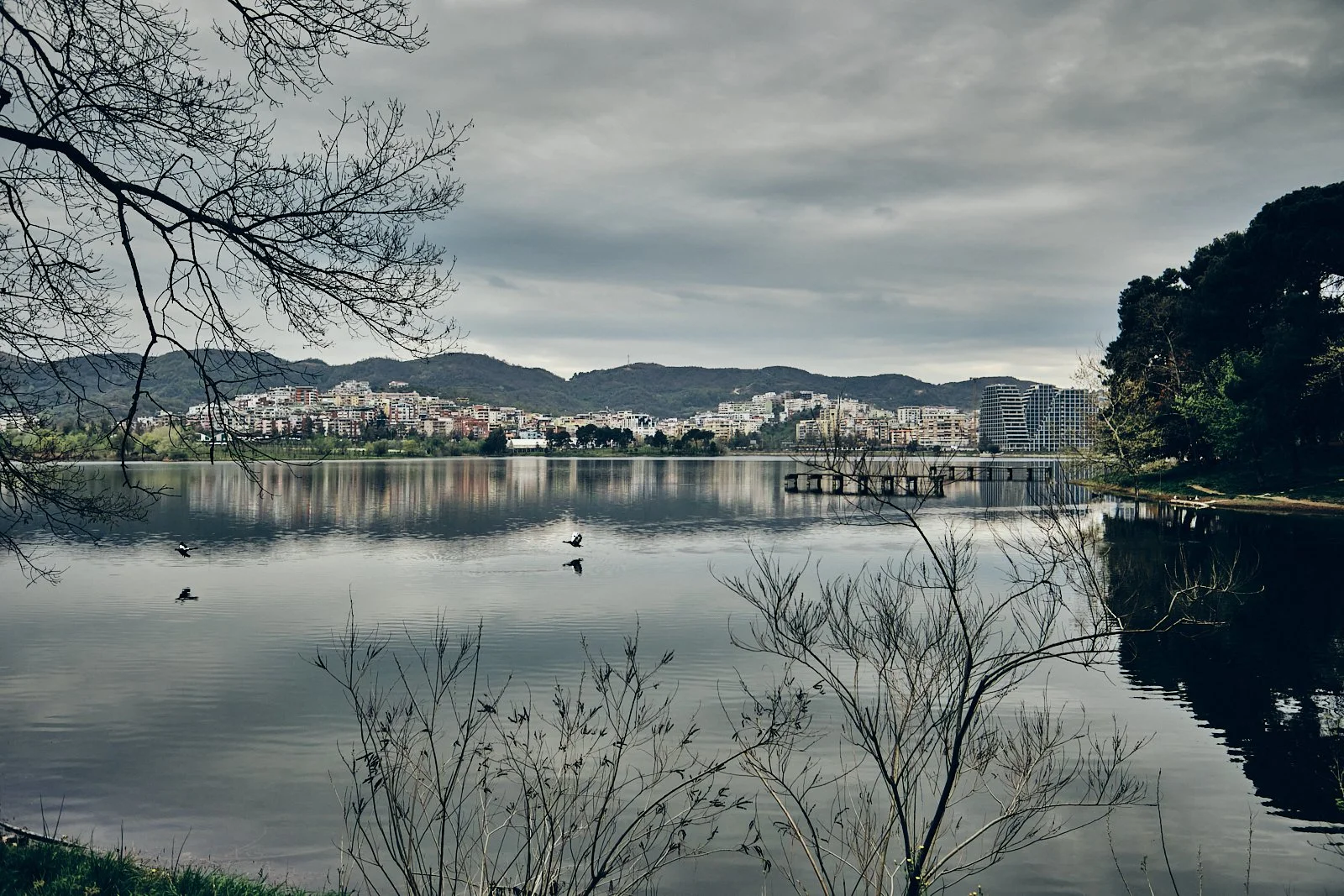 TIRANA_AMBIANCES_SITE INTERNET_SQUARESPACE_28.jpg