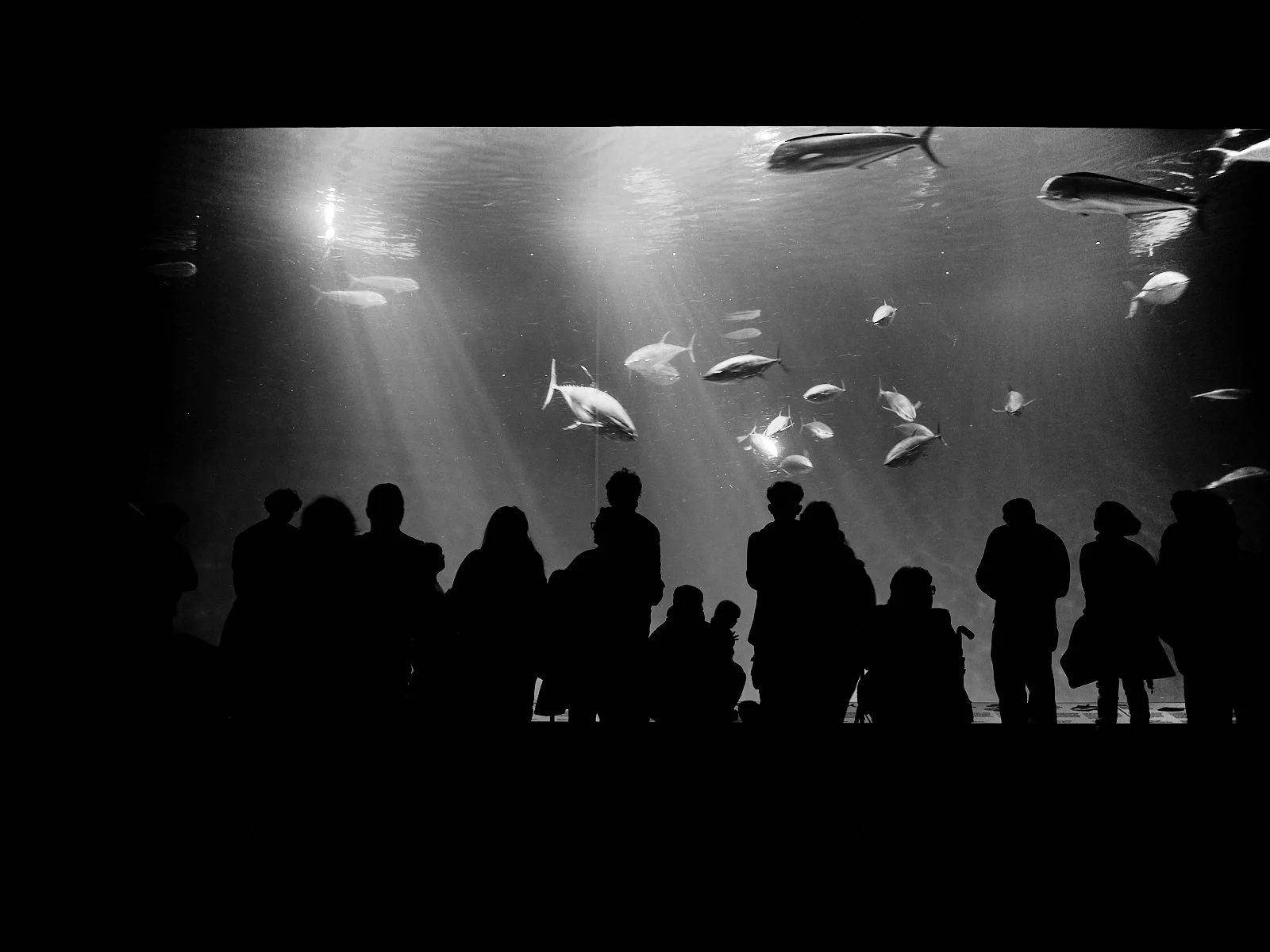 2024.Monterey_SantaCruz_©CyrilPerregaux.048.jpg