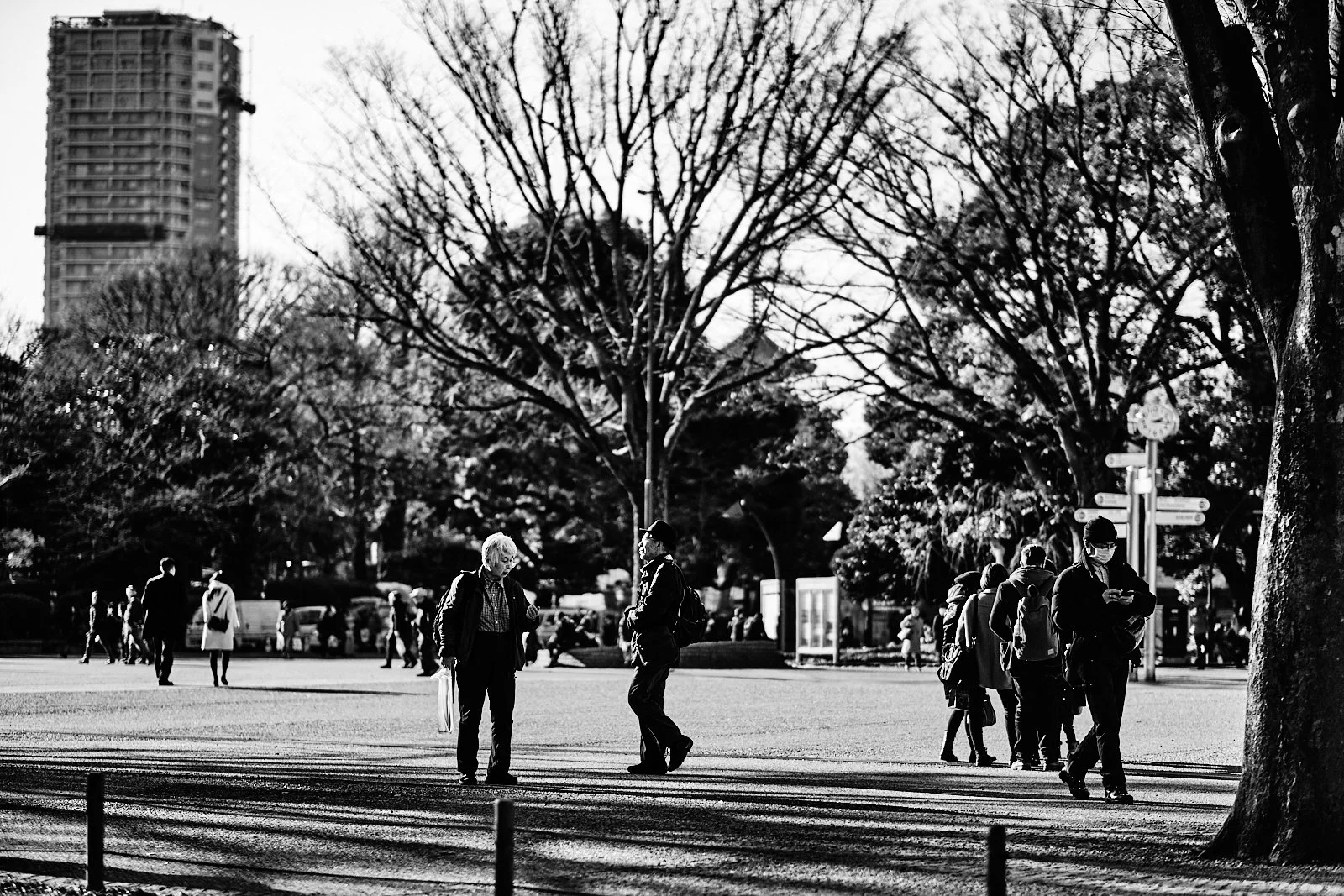 JAPAN_PEOPLE_SITE INTERNET_SQUARESPACE_11.jpg