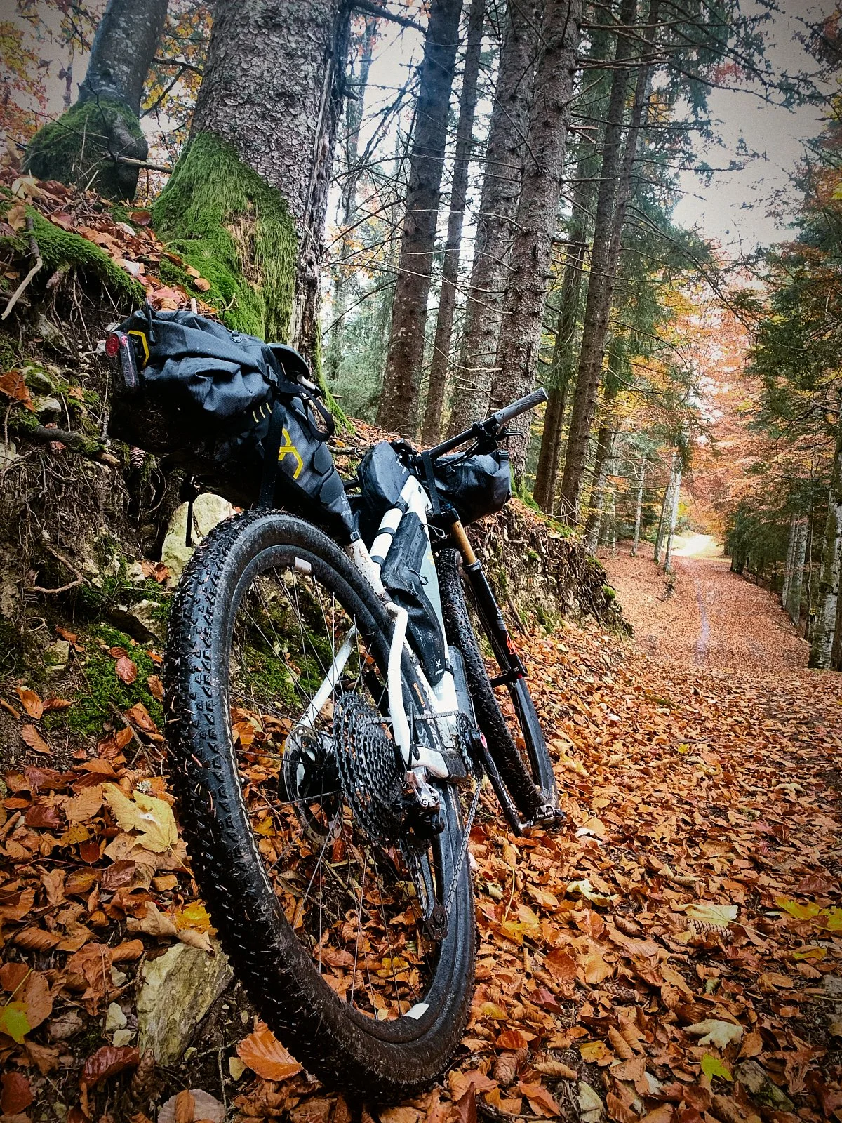 P_jura__b0147__2021_-RIDE ACROSS JURA.010.jpg