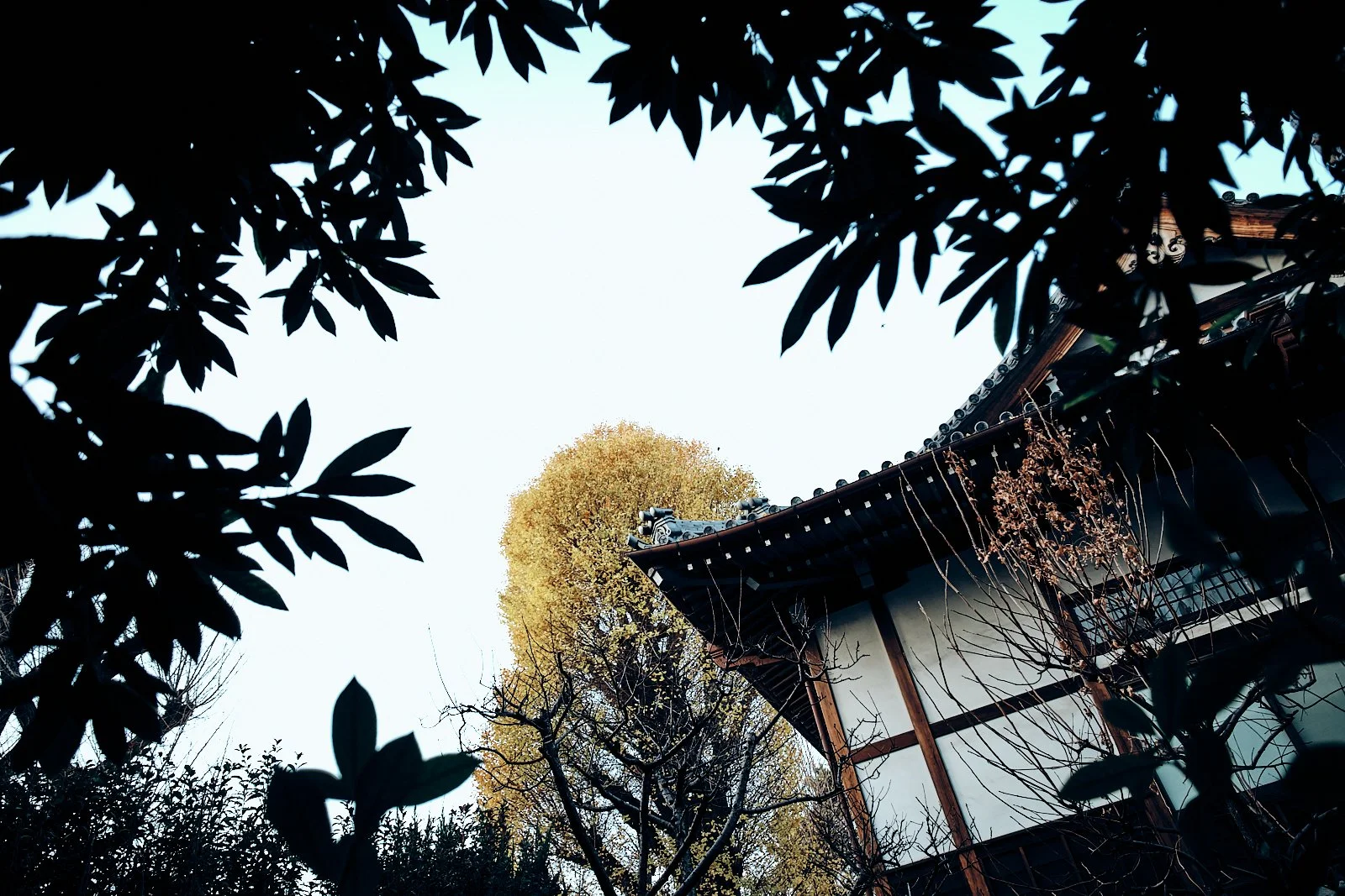 JAPAN_AMBIANCES_SITE INTERNET_SQUARESPACE_4.jpg