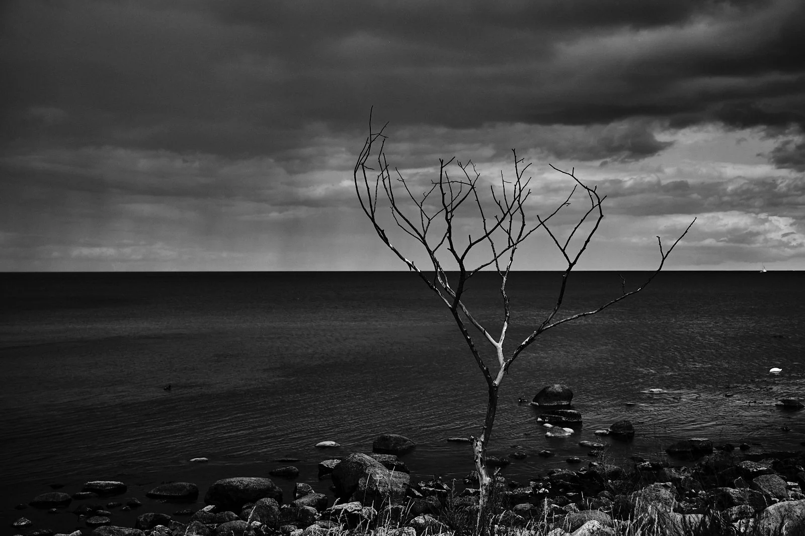 3W.SWEDEN AMBIANCES.14.jpg