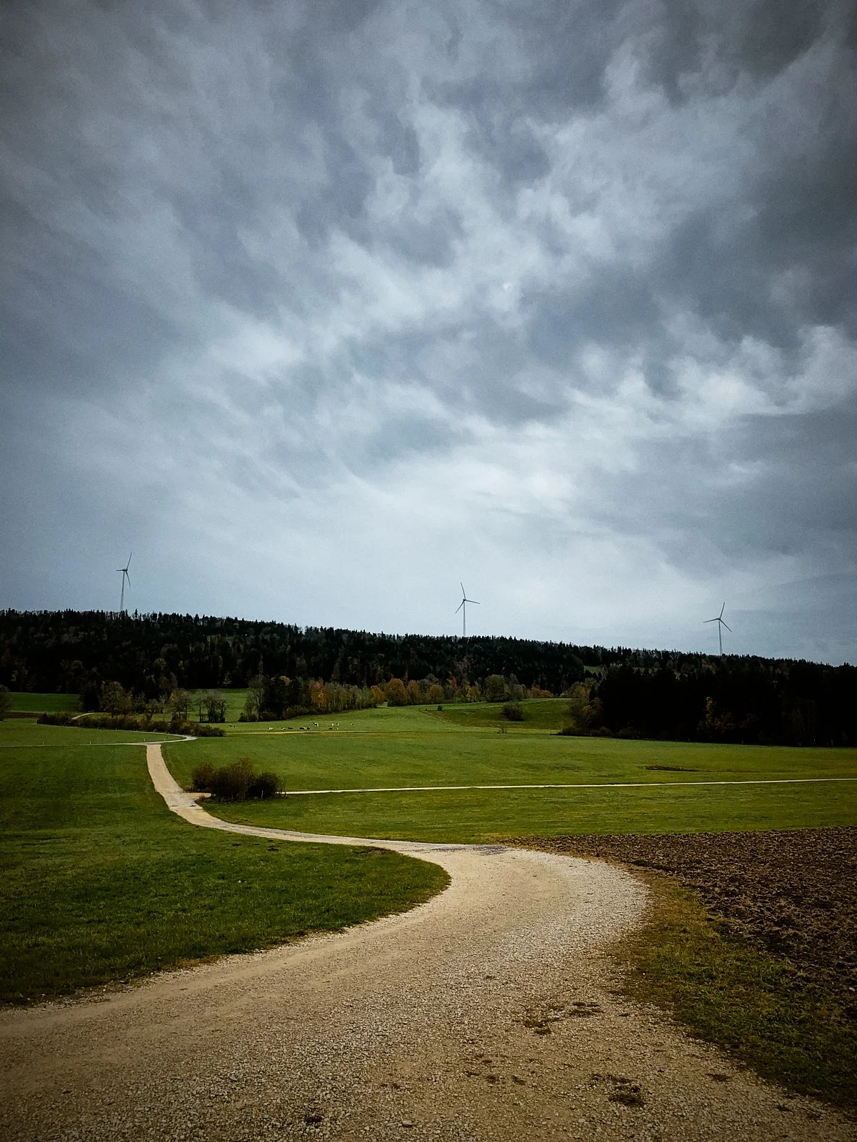 P_jura__b0167__2021_-RIDE ACROSS JURA.030.jpg