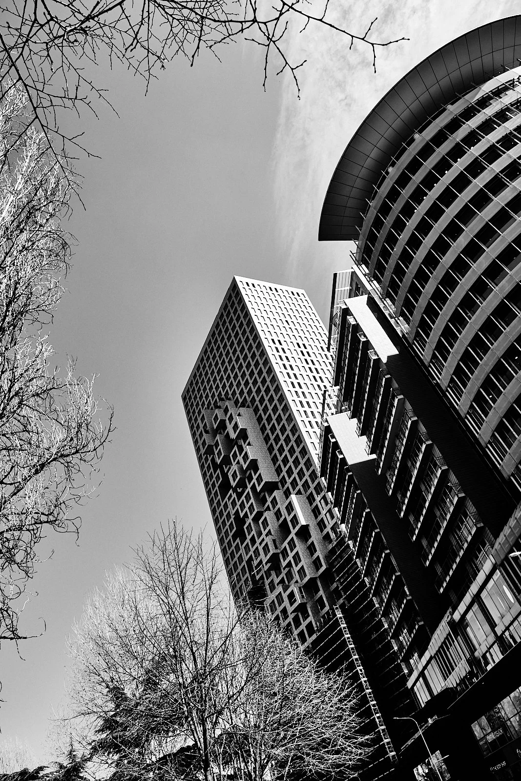 TIRANA_ARCHITECTURE_SITE INTERNET_SQUARESPACE_10.jpg