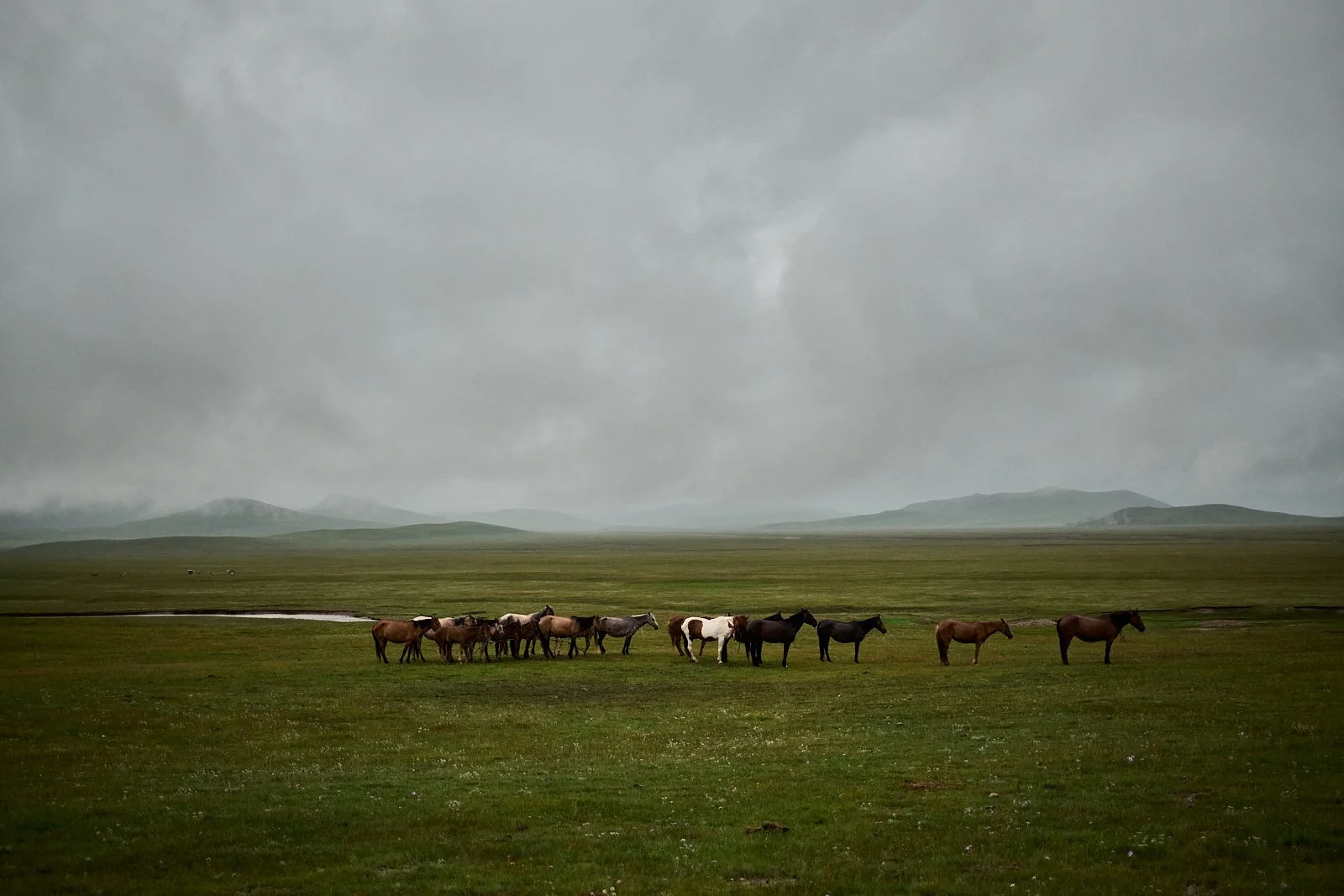 2026.KIRGHIZSTAN_LAC SONG KUL_©CyrilPerregaux.295.jpg