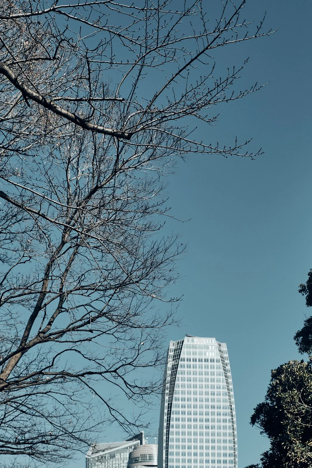 JAPAN_ARCHITECTURE_SITE INTERNET_SQUARESPACE_8.jpg