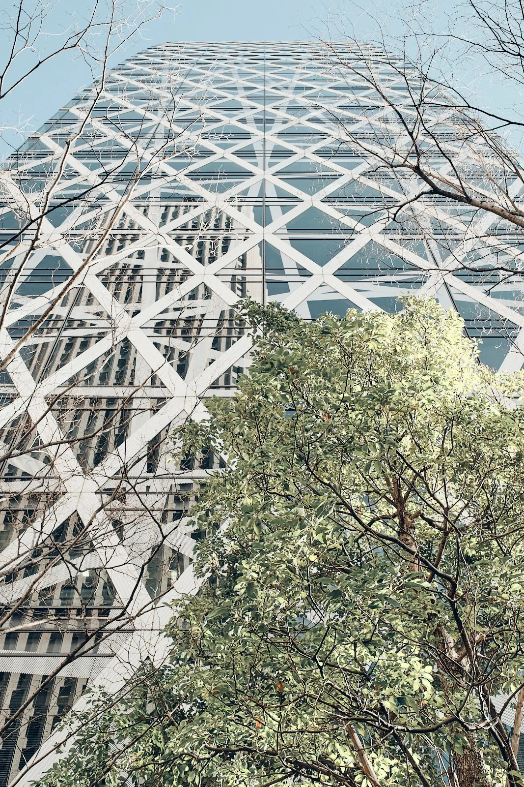 JAPAN_ARCHITECTURE_SITE INTERNET_SQUARESPACE_30.jpg