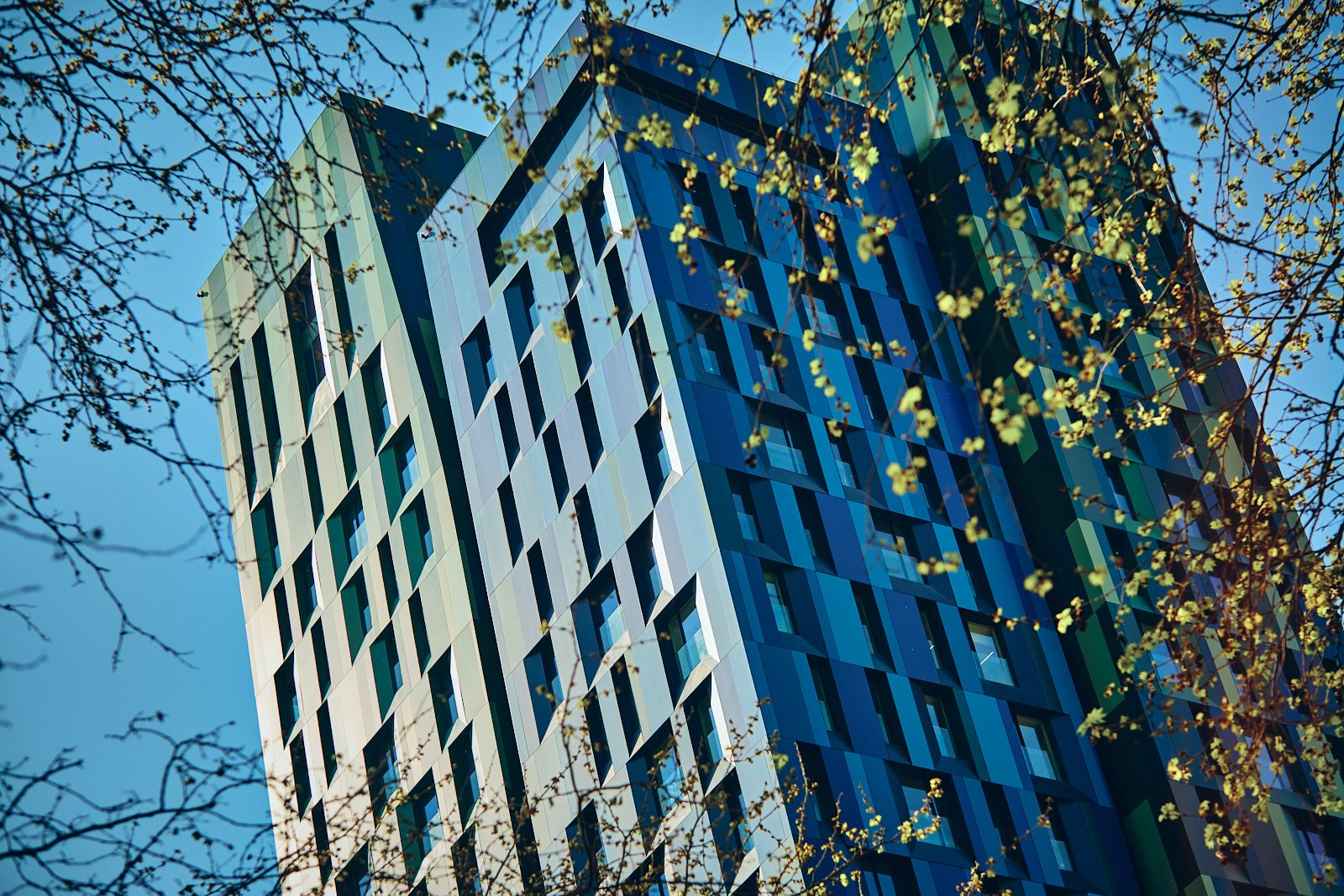 TIRANA_ARCHITECTURE_SITE INTERNET_SQUARESPACE_17.jpg