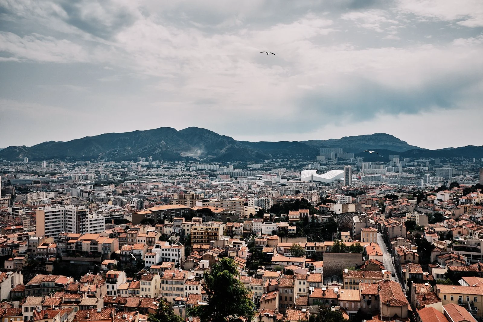 MARSEILLE_04.2019_NOTREDAME 17 1.jpg