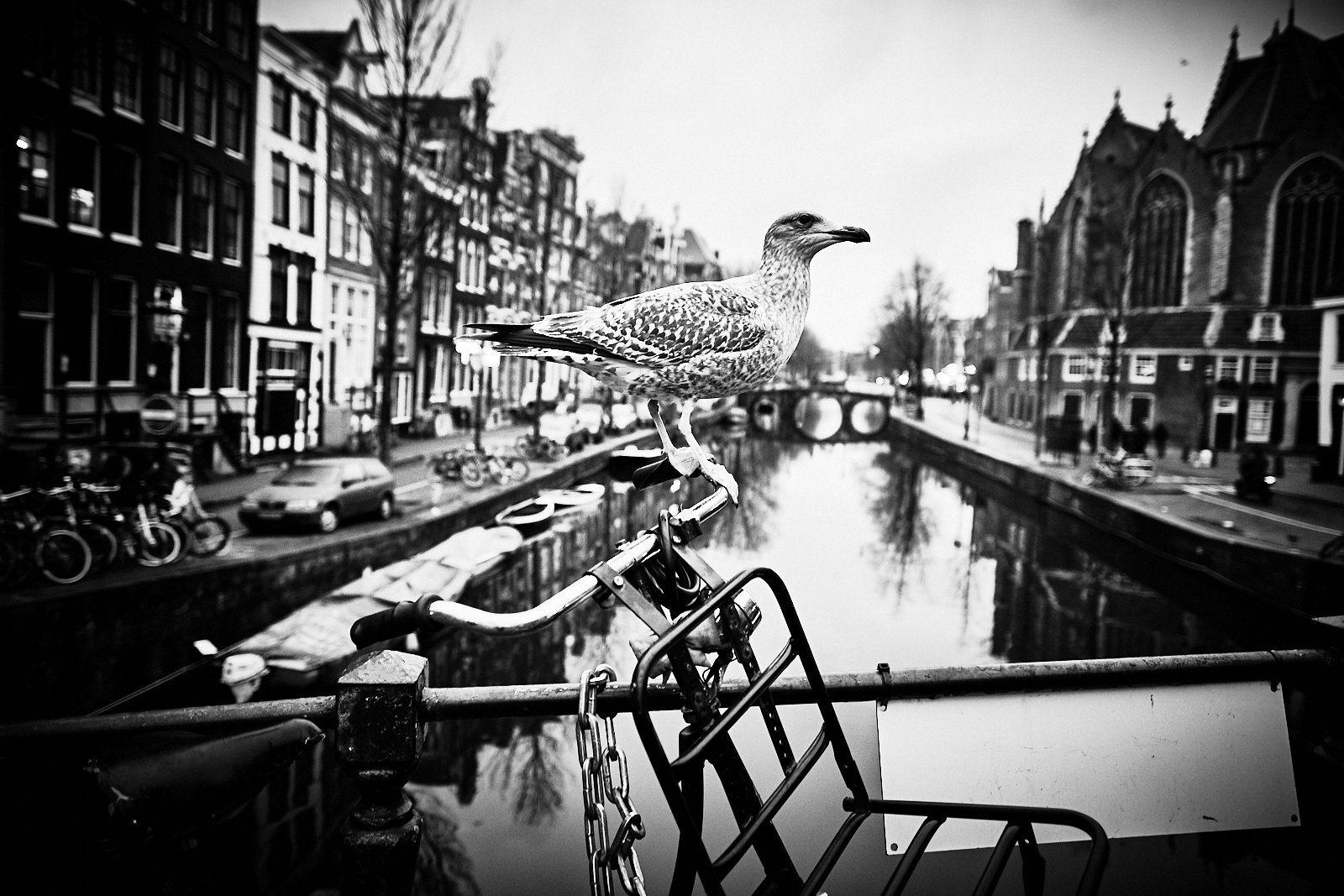 V_amsterdam__b0627__AMSTERDAM STREETPHOTOGRAPHY 101 163.jpg