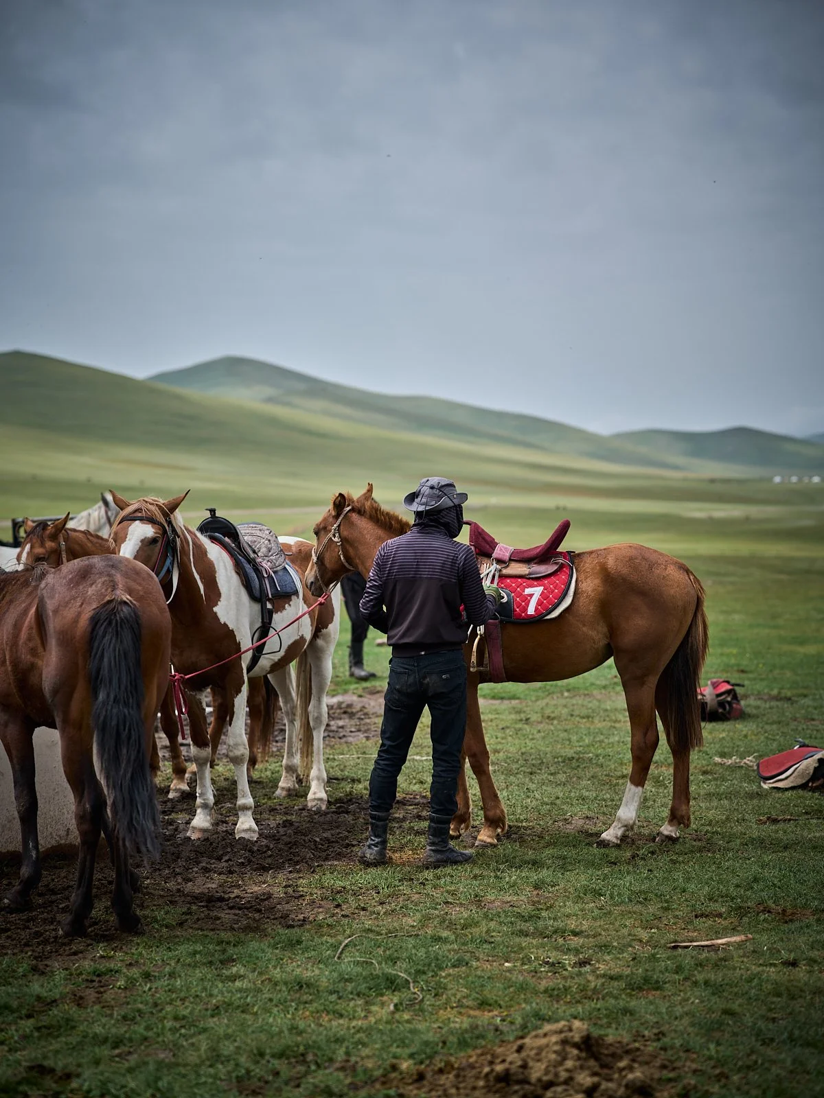2026.KIRGHIZSTAN_LAC SONG KUL_©CyrilPerregaux.212.jpg