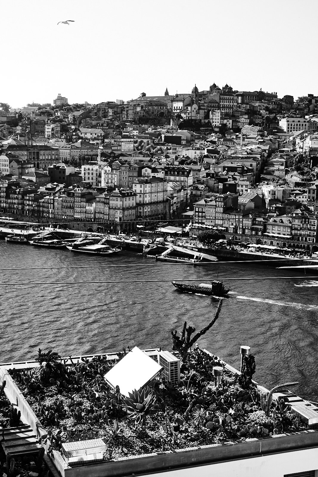 19__PORTO_STREETPHOTOGRAPHY 105.jpg