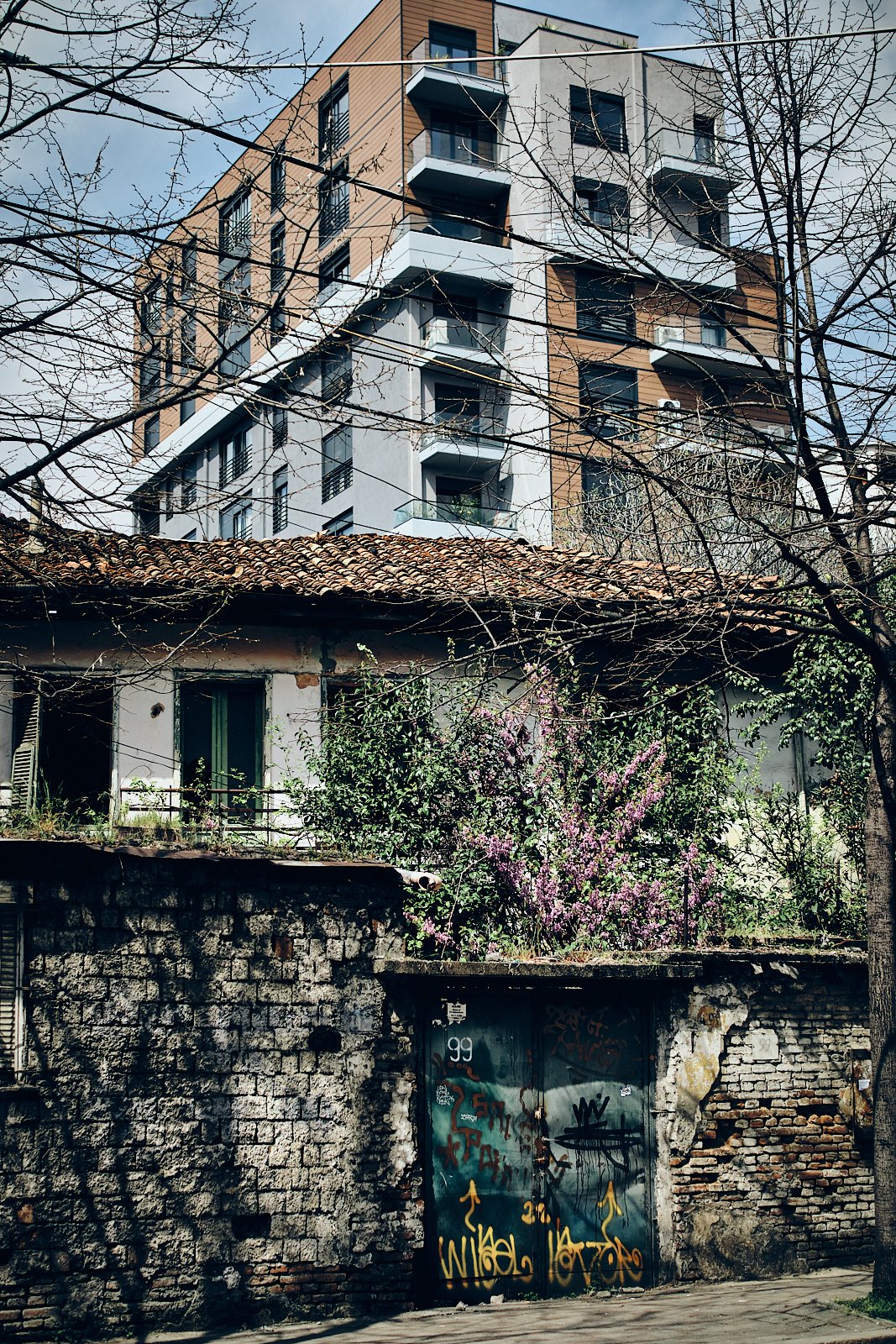 TIRANA_AMBIANCES_SITE INTERNET_SQUARESPACE_56.jpg