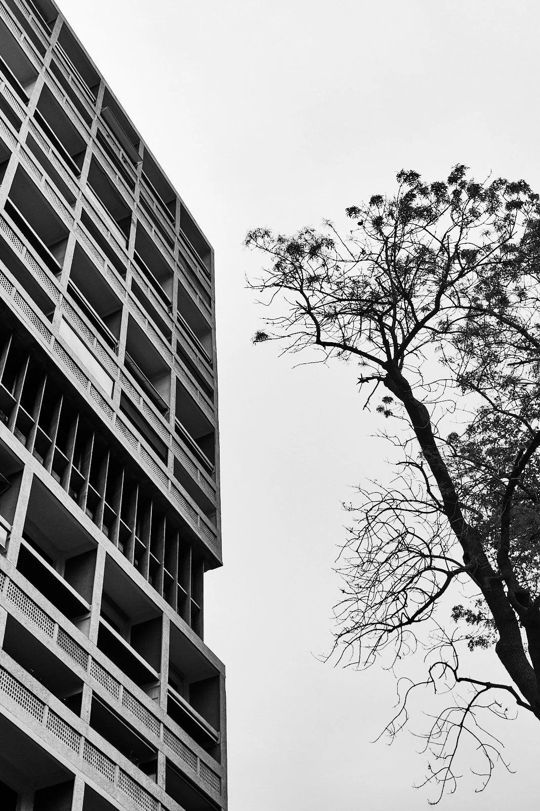B_marseille__cite-radieuse-unite-dhabitation__MARSEILLE_04.2019_CITERADIEUSE 19.jpg