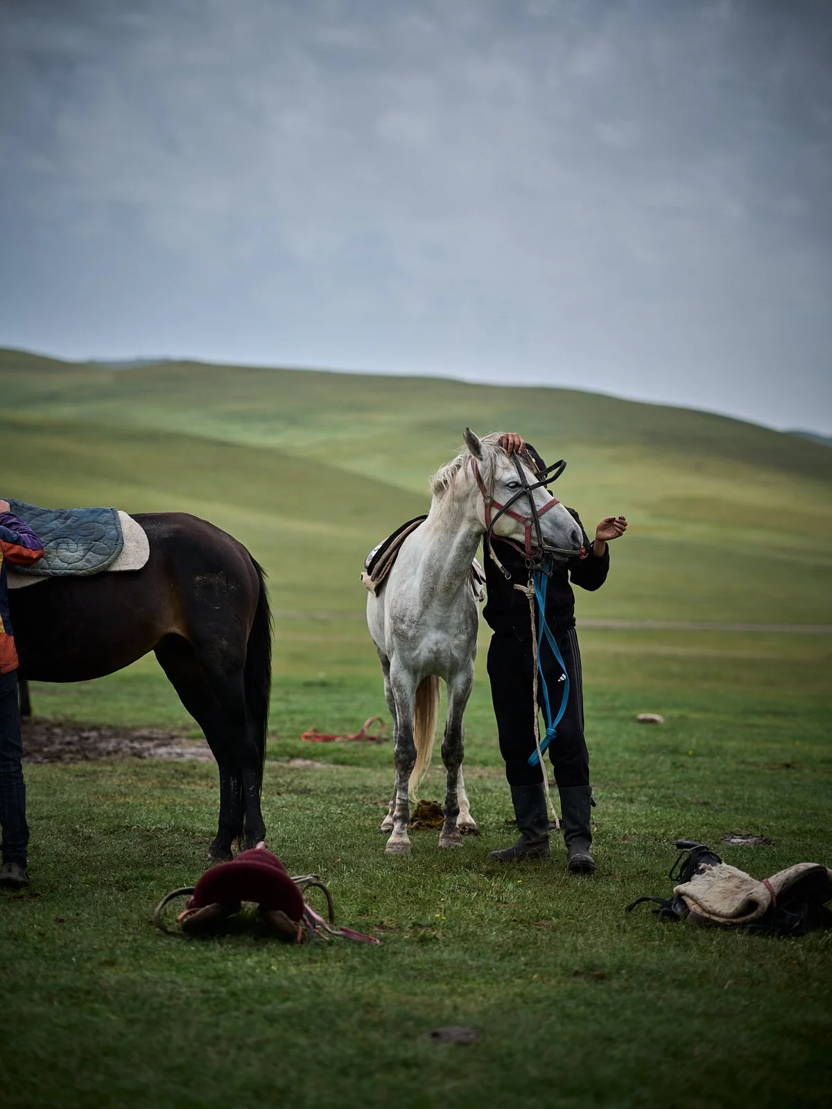 2026.KIRGHIZSTAN_LAC SONG KUL_©CyrilPerregaux.220.jpg