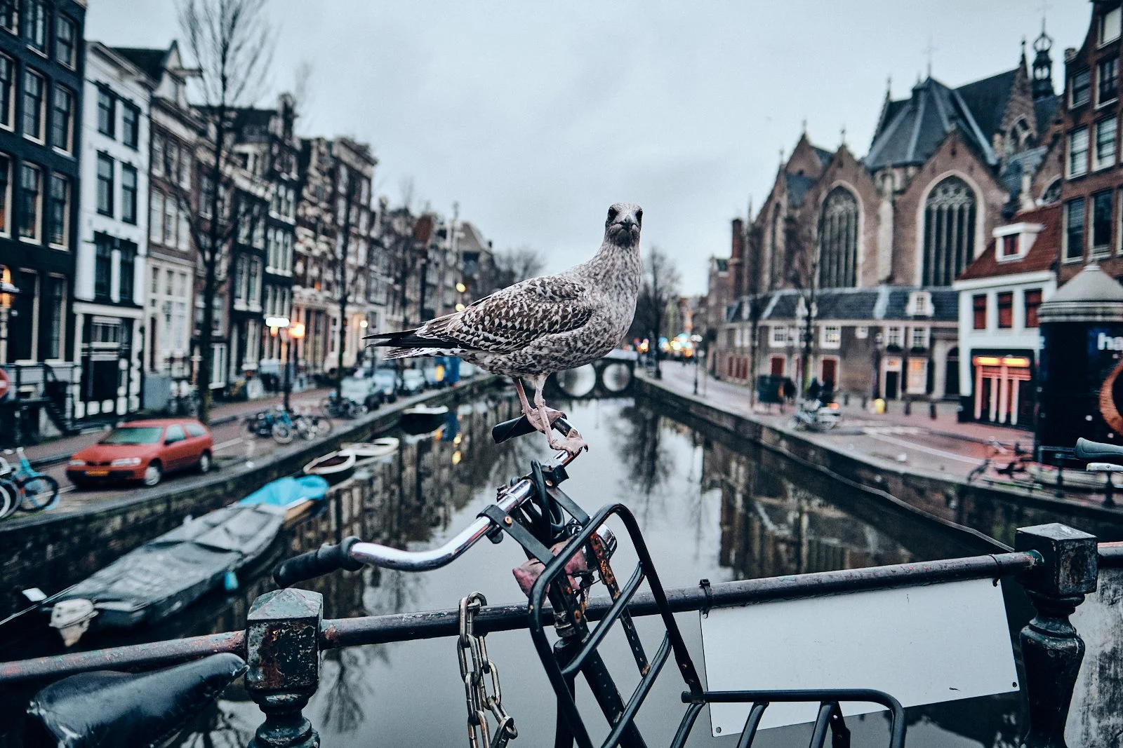 AMSTERDAM STREETPHOTOGRAPHY 101 165.jpg