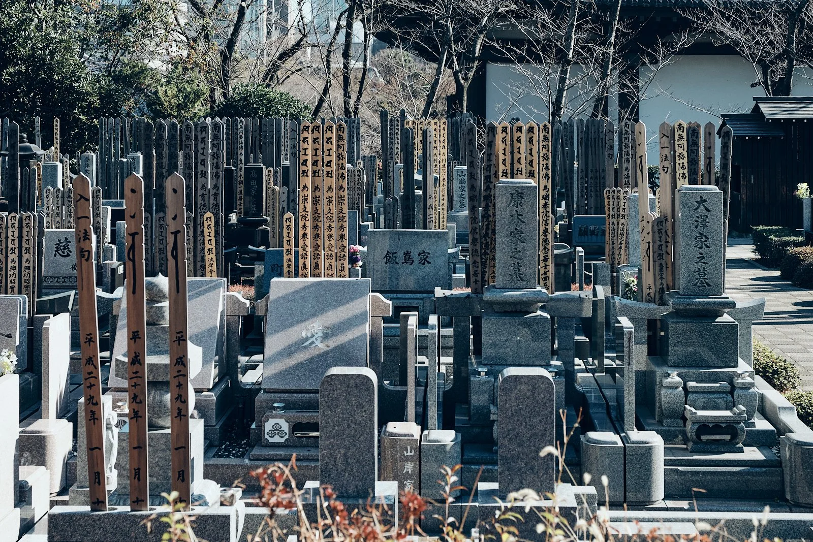 JAPAN_AMBIANCES_SITE INTERNET_SQUARESPACE_15.jpg