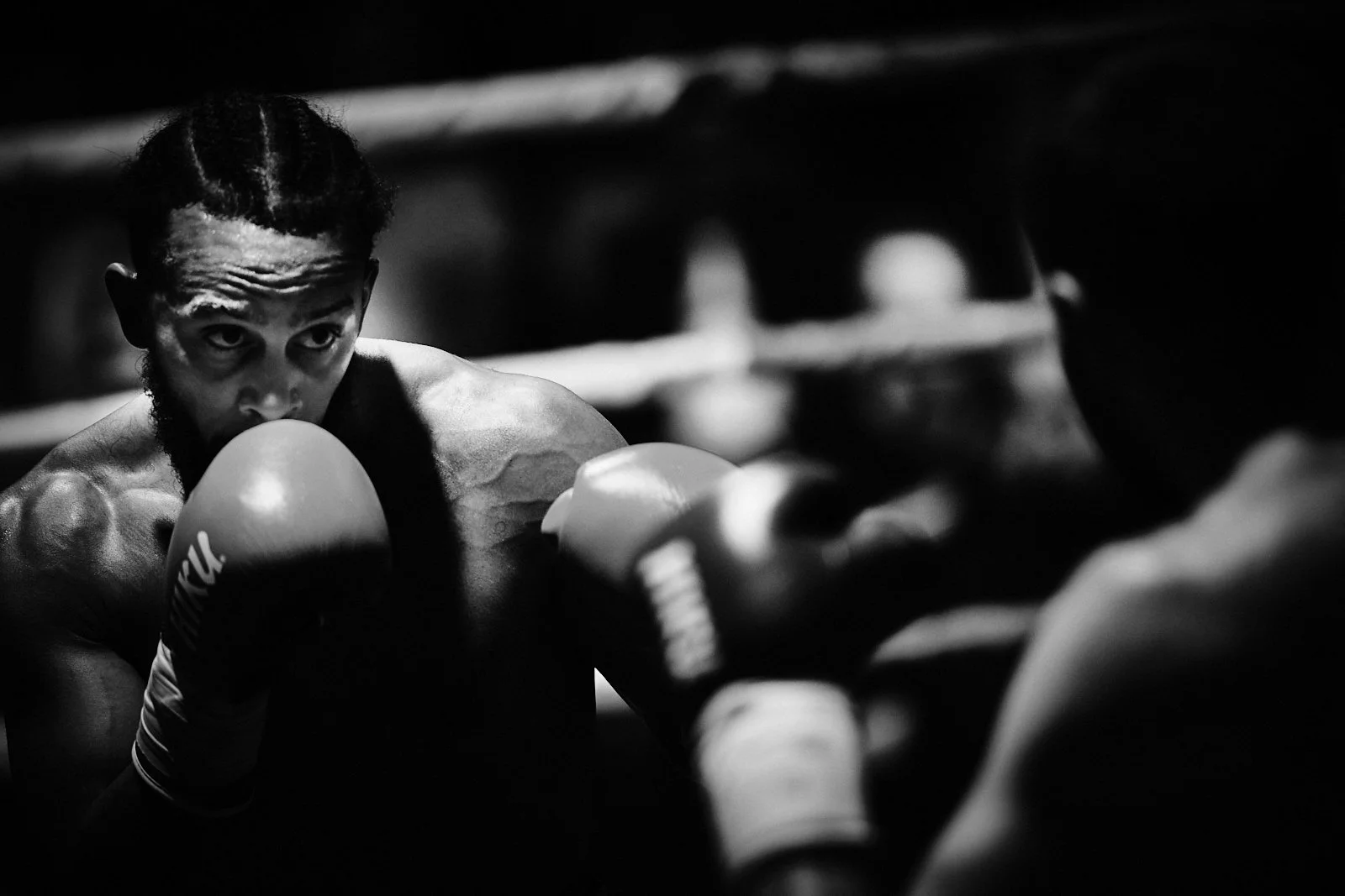 2023.02.03_NoblemPromotion_Fête de la Boxe Carouge_©cyrilperregaux.108.jpg