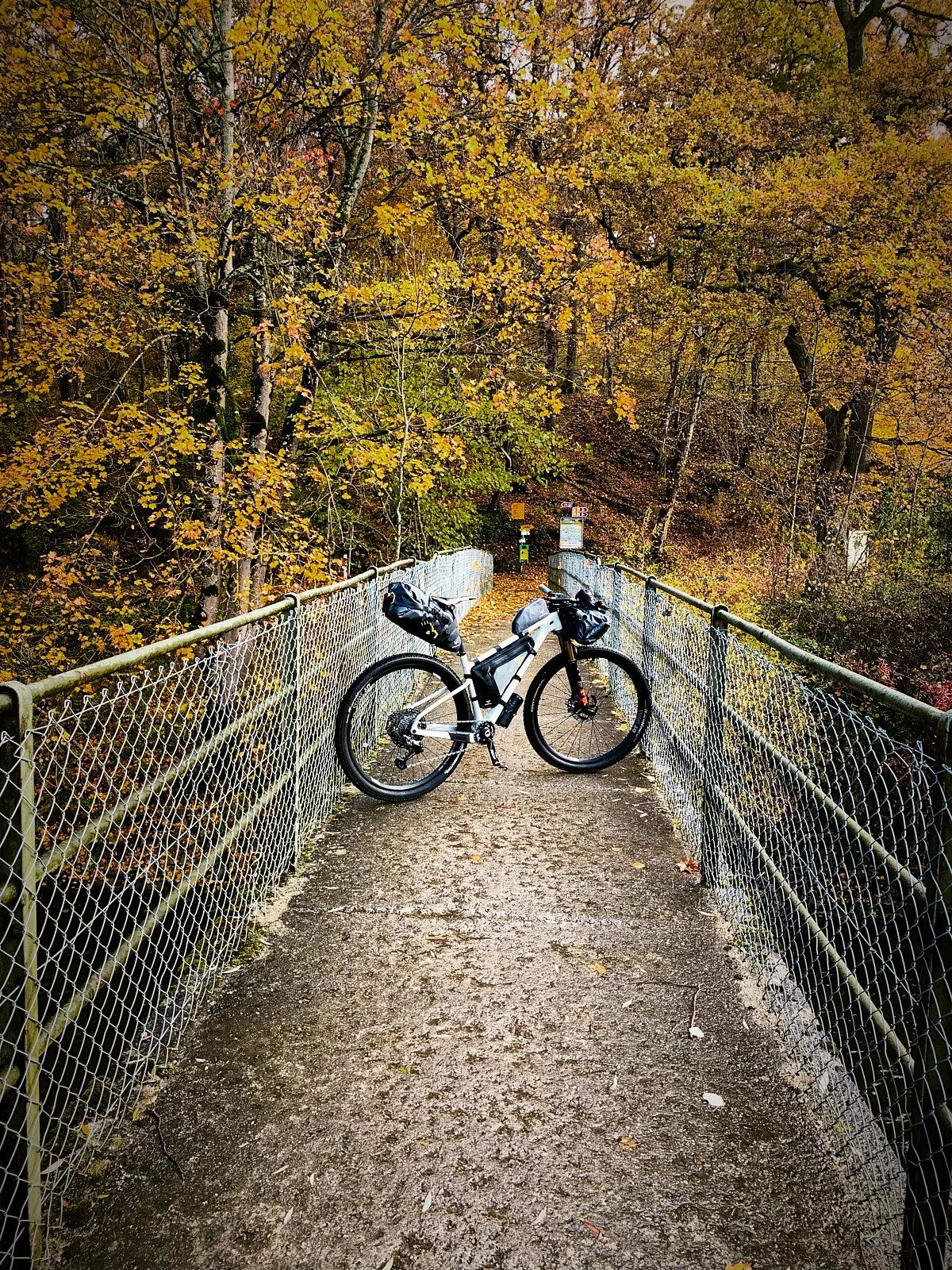 P_jura__b0194__2021_-RIDE ACROSS JURA.057.jpg