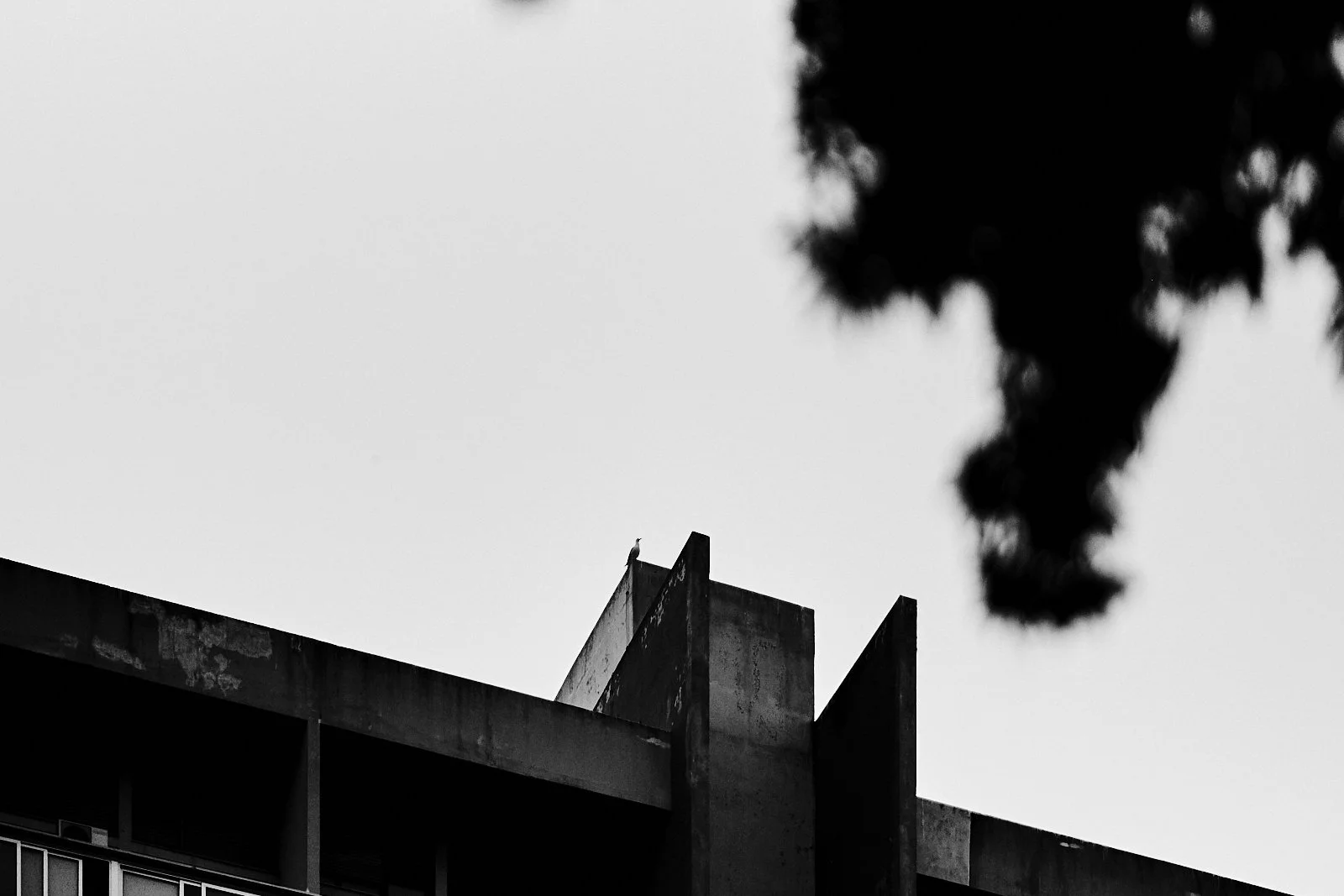 2024_SPLIT-3_©cyrilperregaux.045.3W.153.jpg