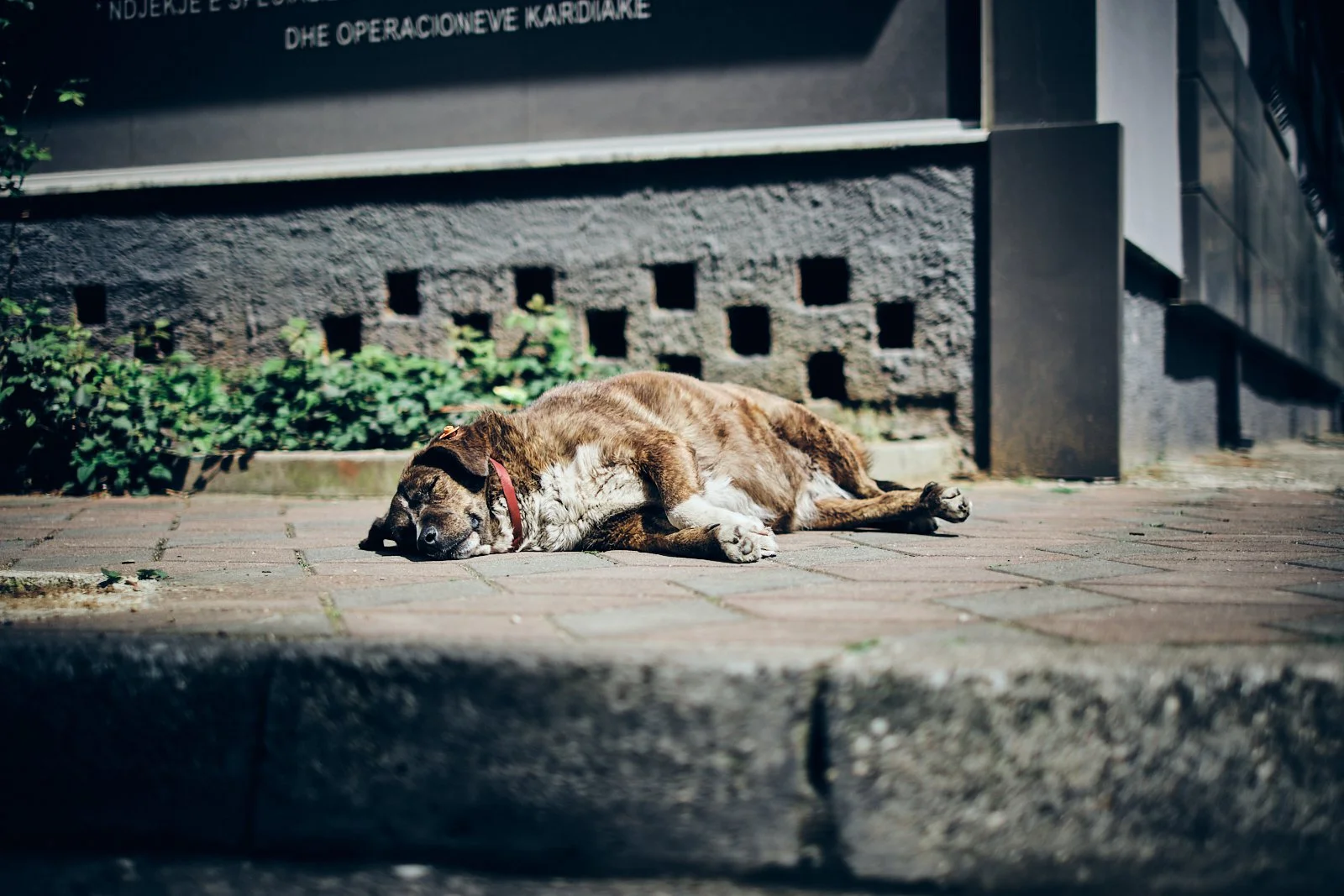 TIRANA_AMBIANCES_SITE INTERNET_SQUARESPACE_47.jpg