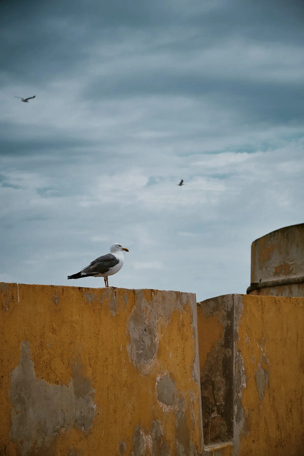 19__PENICHE_STREETPHOTOGRAPHY 13.jpg