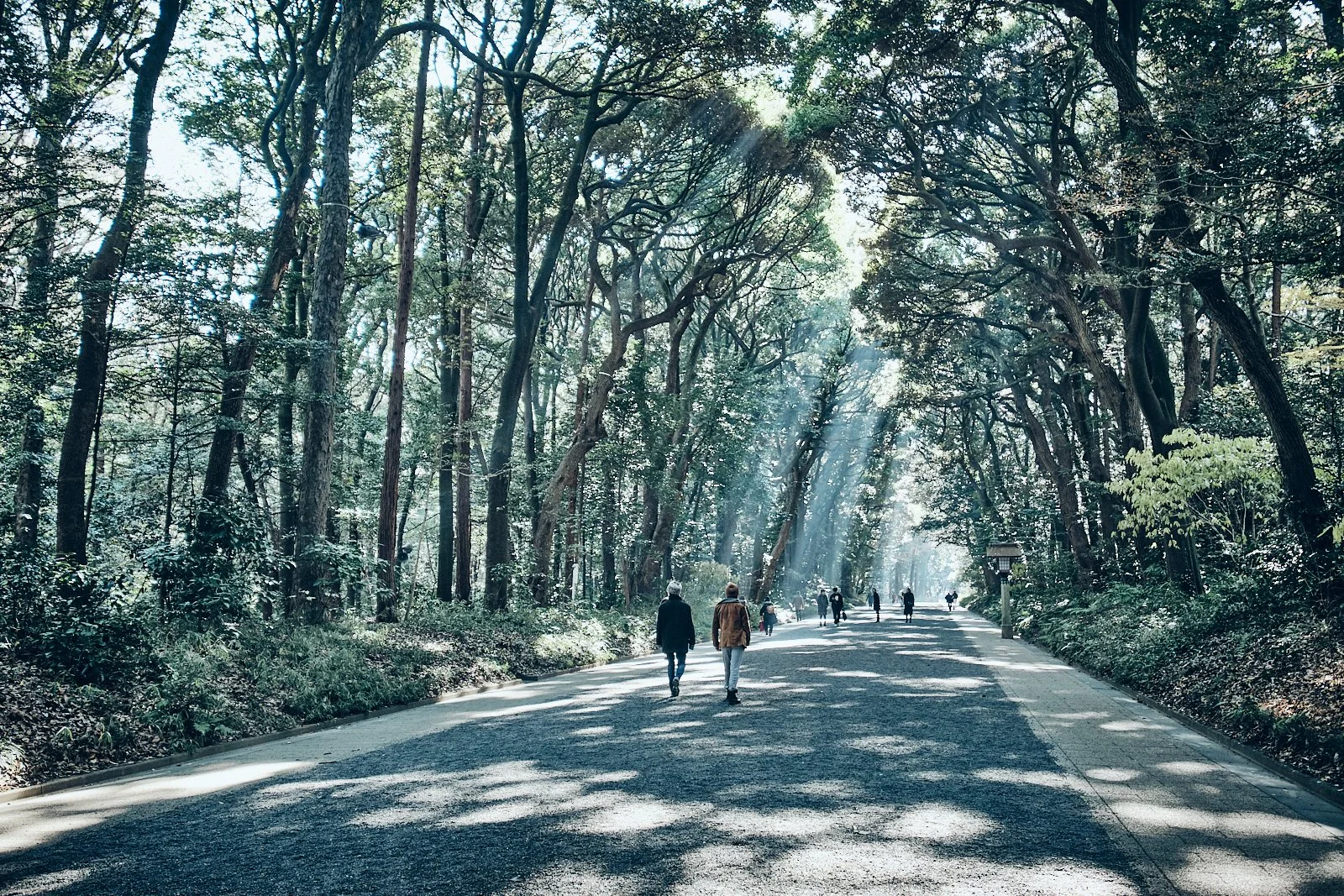 JAPAN_AMBIANCES_SITE INTERNET_SQUARESPACE_6.jpg
