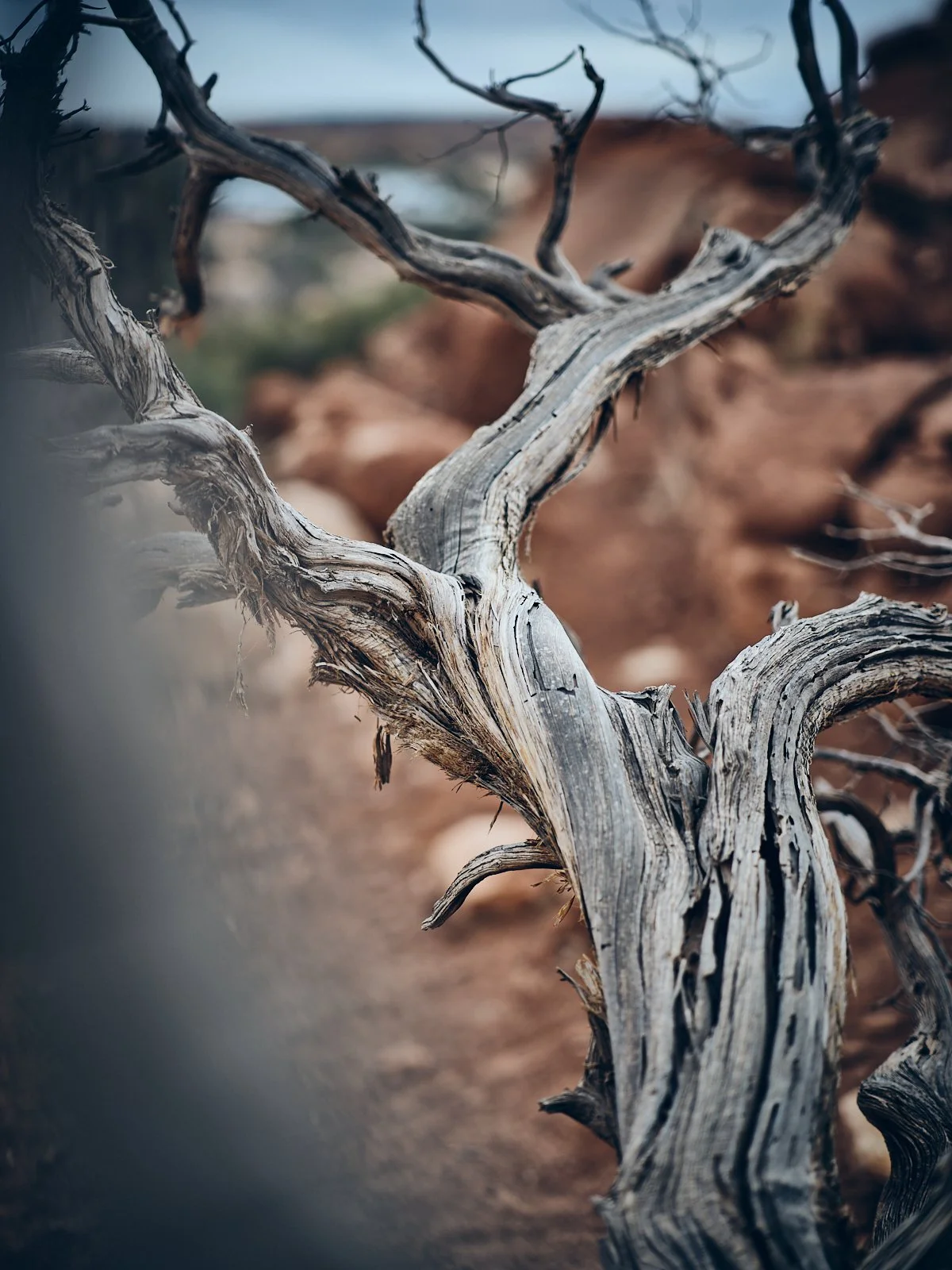 2024.Arches_©CyrilPerregaux.032.jpg