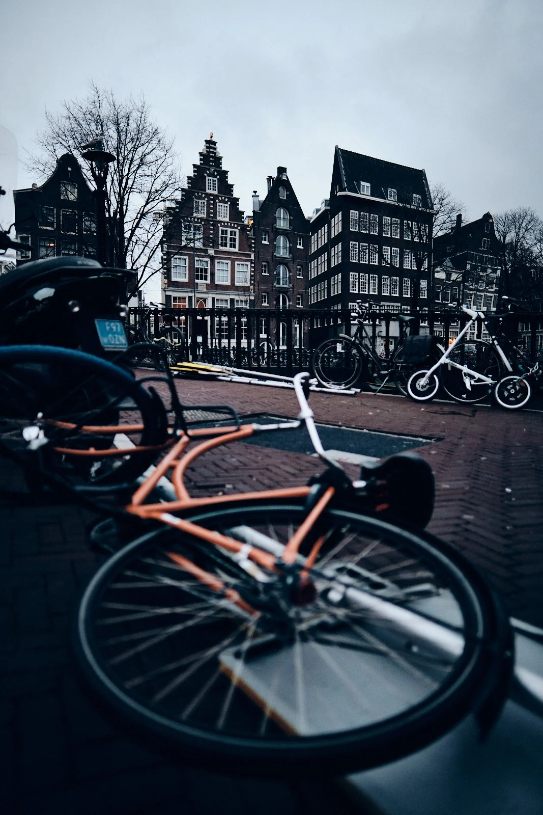 AMSTERDAM STREETPHOTOGRAPHY 101 176.jpg