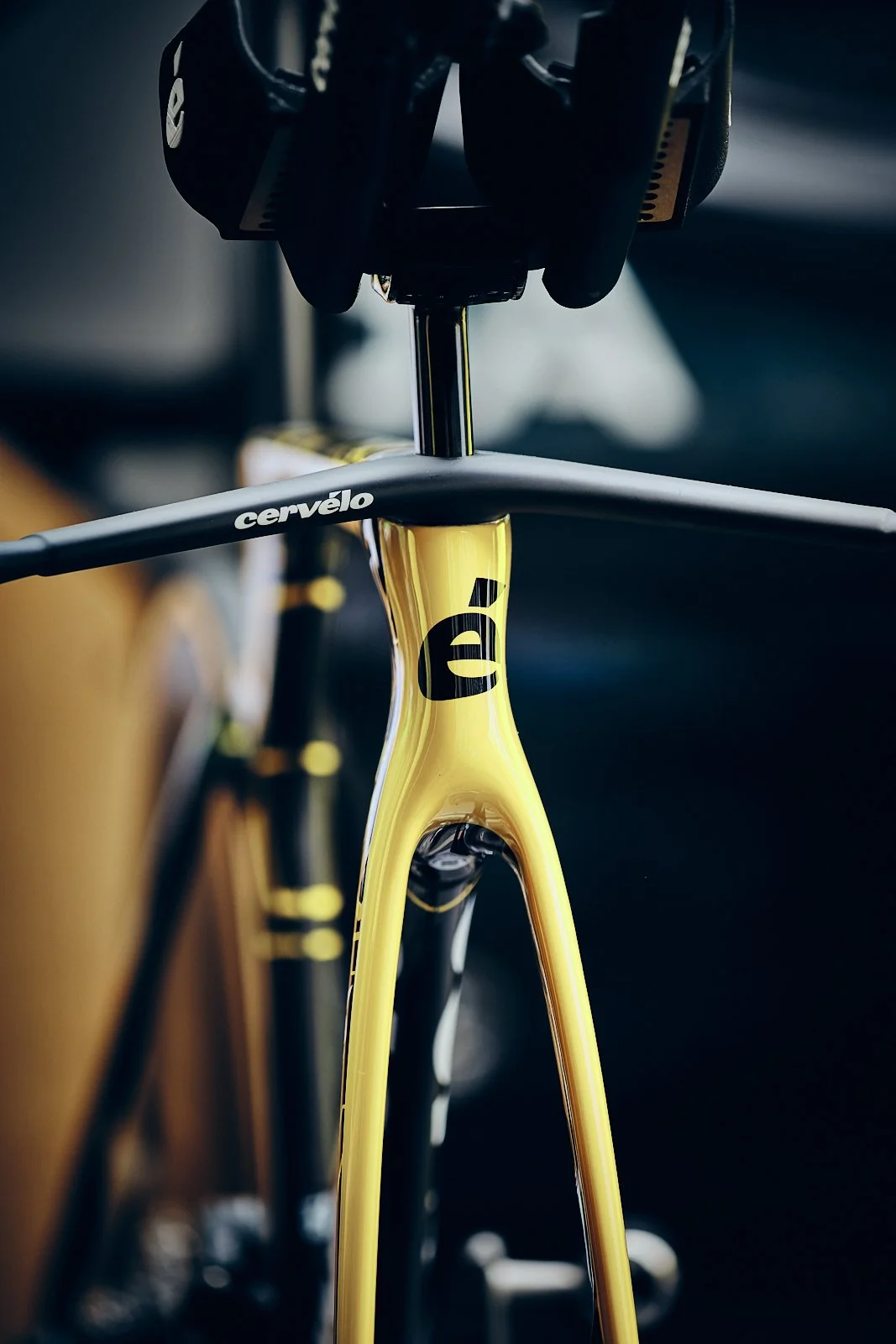S_tour-de-romandie__b0939__2025_TDR_CERVELO_SERIES_©cyrilperregaux.002.jpg