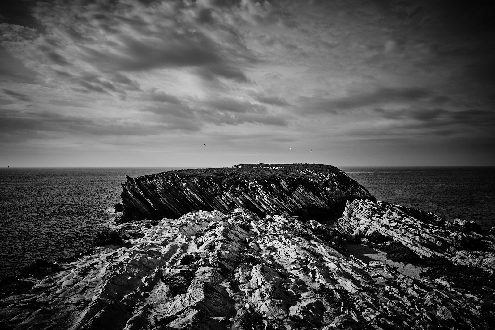 19__BALEAL_AMBIANCES 3.jpg