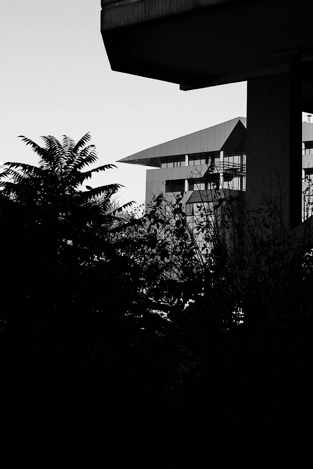 B_belgrade__novi-beograd__2024_22.09_BELGRADE_DAY 03_©cyrilperregaux.040.3W.85.jpg