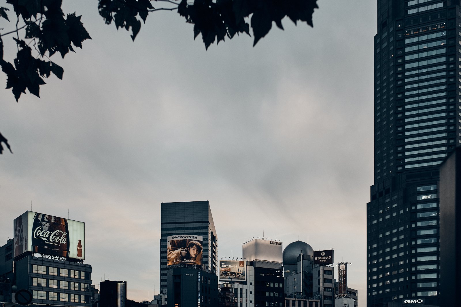 JAPAN_ARCHITECTURE_SITE INTERNET_SQUARESPACE_25.jpg
