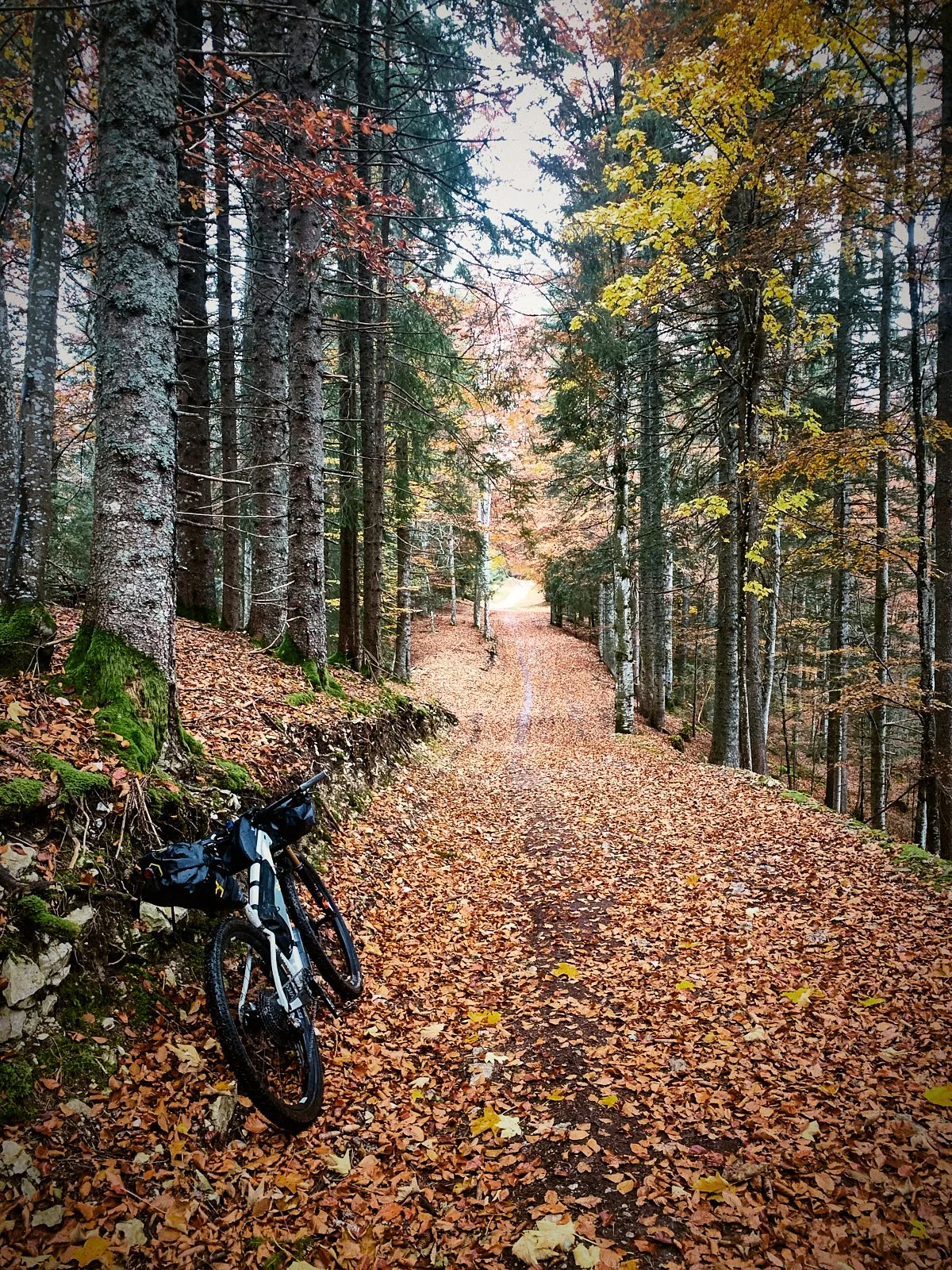 P_jura__b0145__2021_-RIDE ACROSS JURA.008.jpg